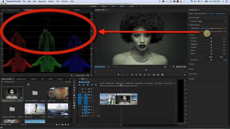 Adobe Premier Pro (Lumetri Panel)