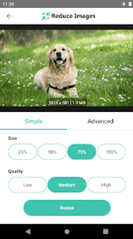 Reduce Images content