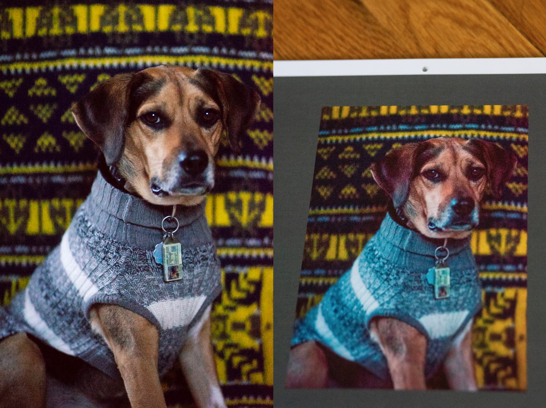 Here's a side by side view of my original image file compared to the print I received. I promise that my dog isn't actually magenta!