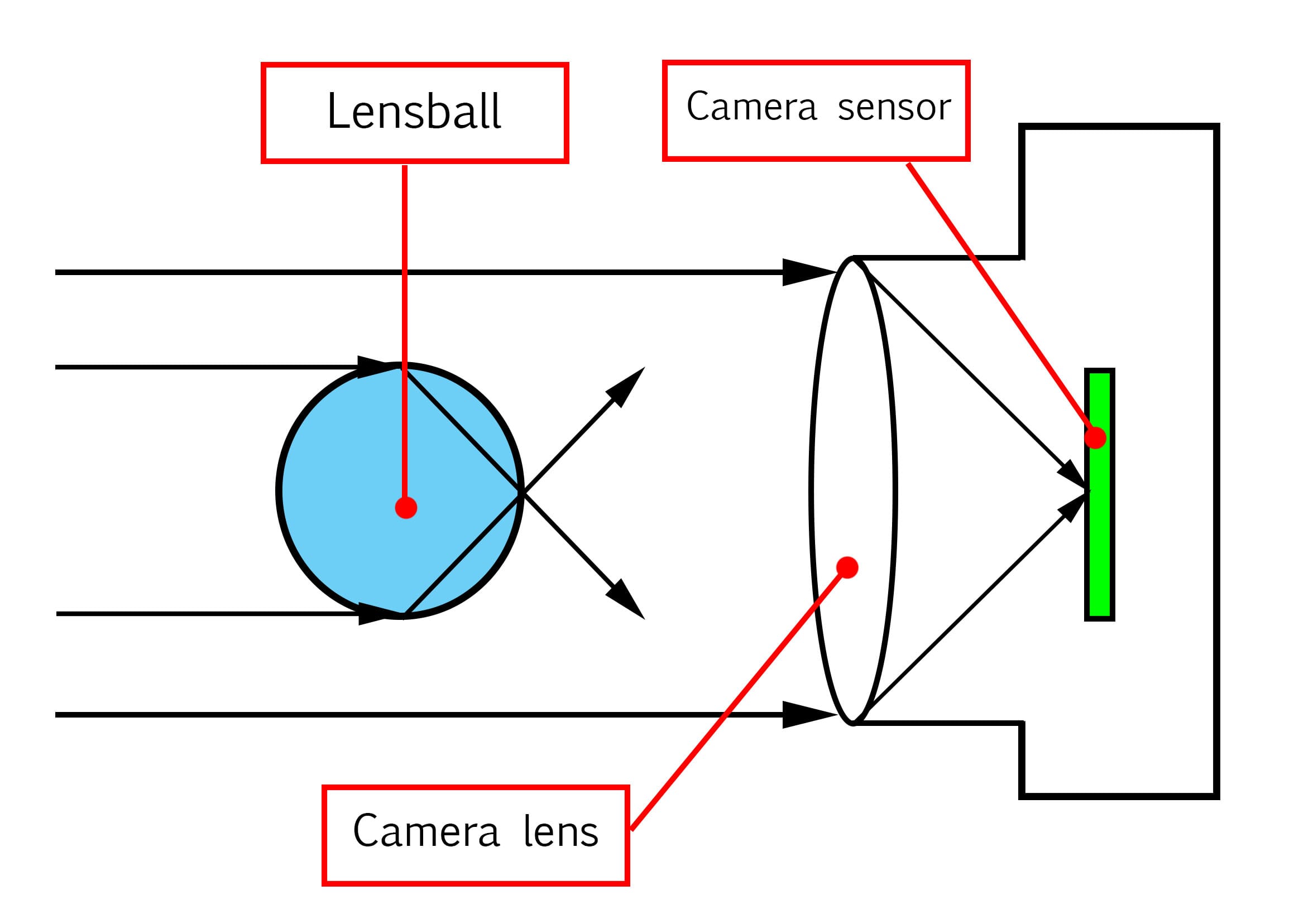 Lensball Photography Explained: Essential Tips for Creative Images