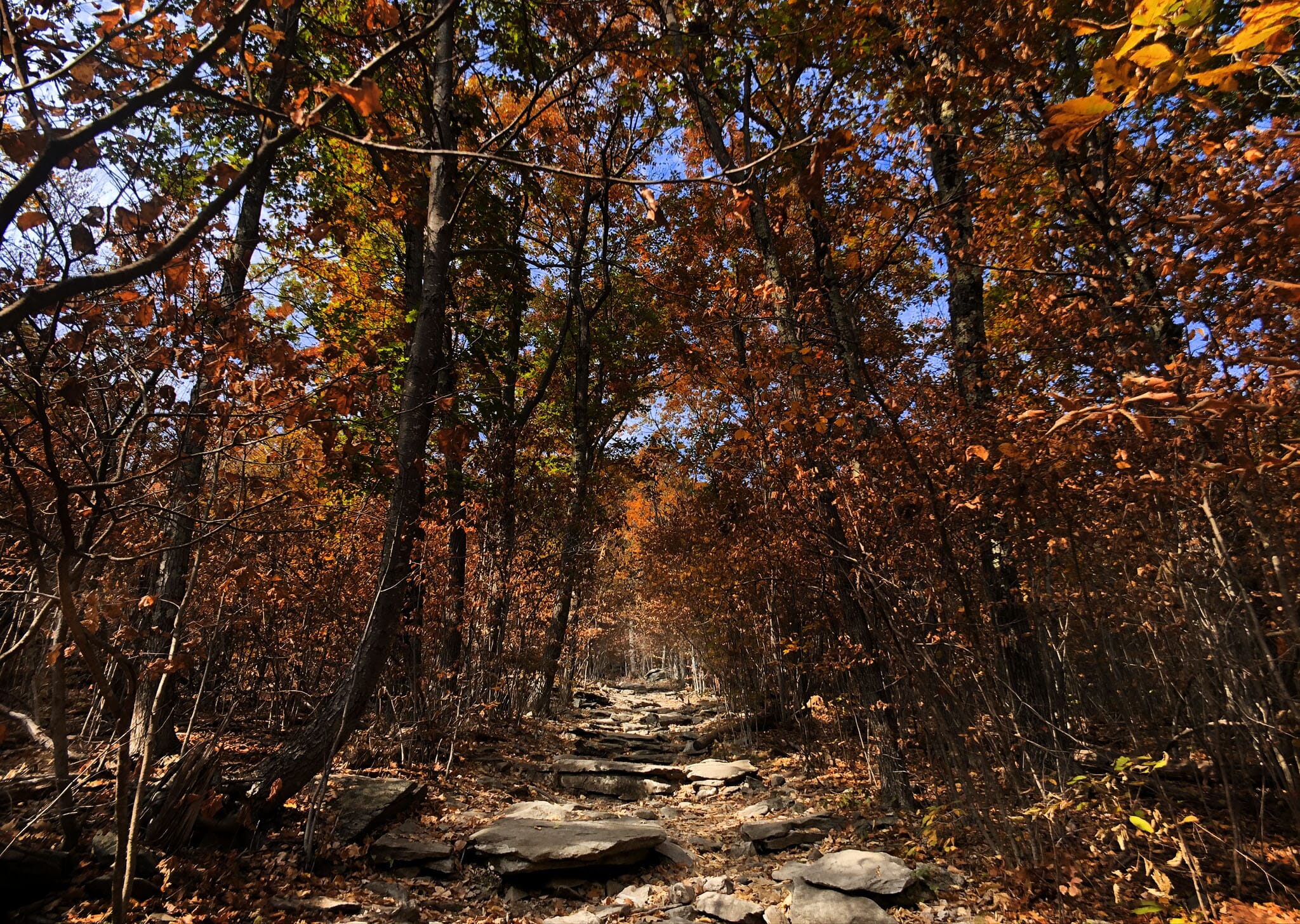 The Sandmarc wide angle instantly creates more dramatic shots by expanding the field of view.