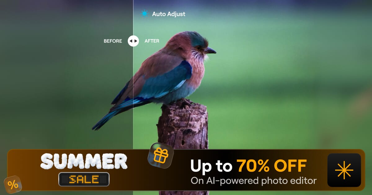 Luminar Summer Sale — up to 70% off AI-powered photo editing, ends June 28 2026