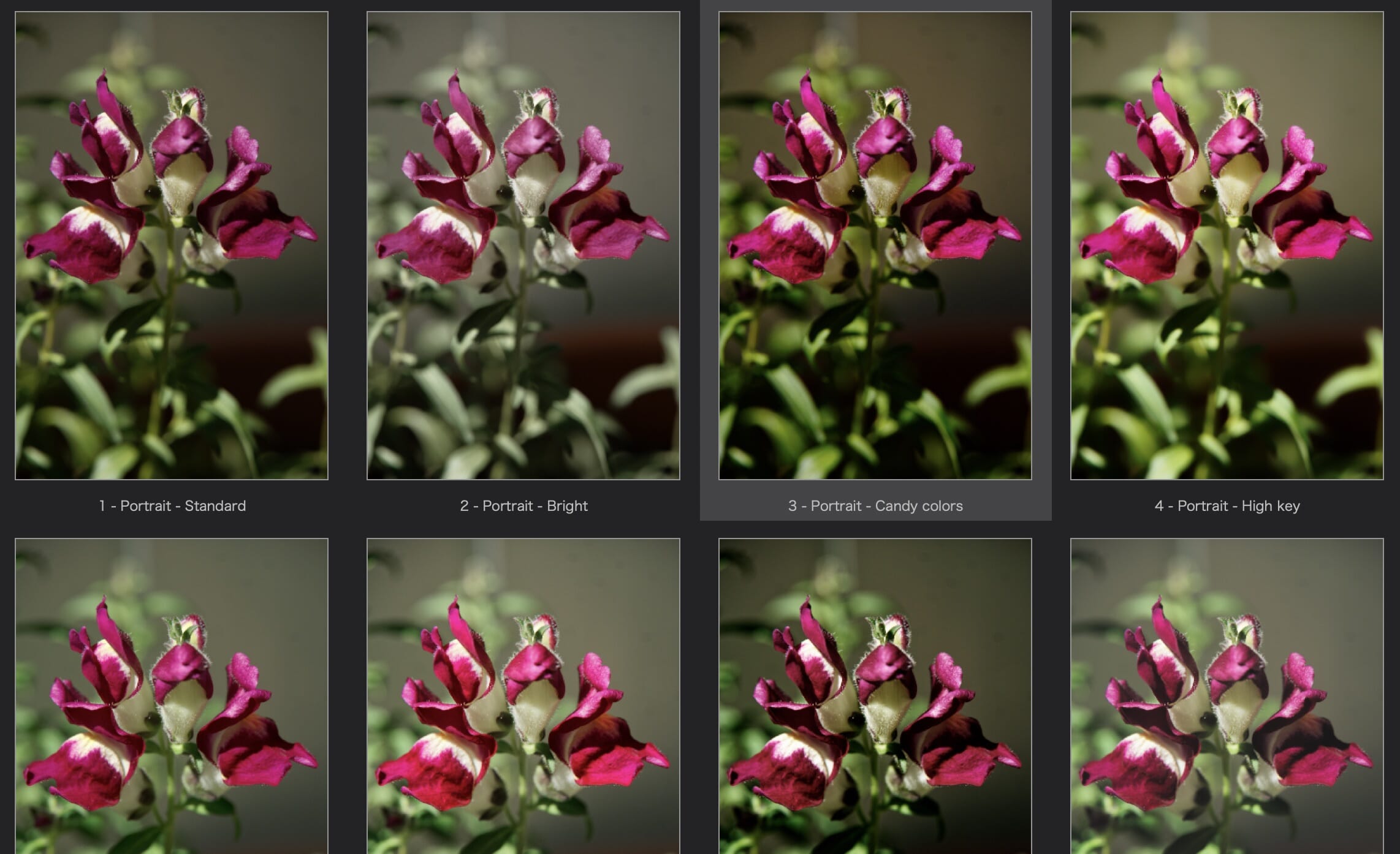 dxo photolab 4 presets