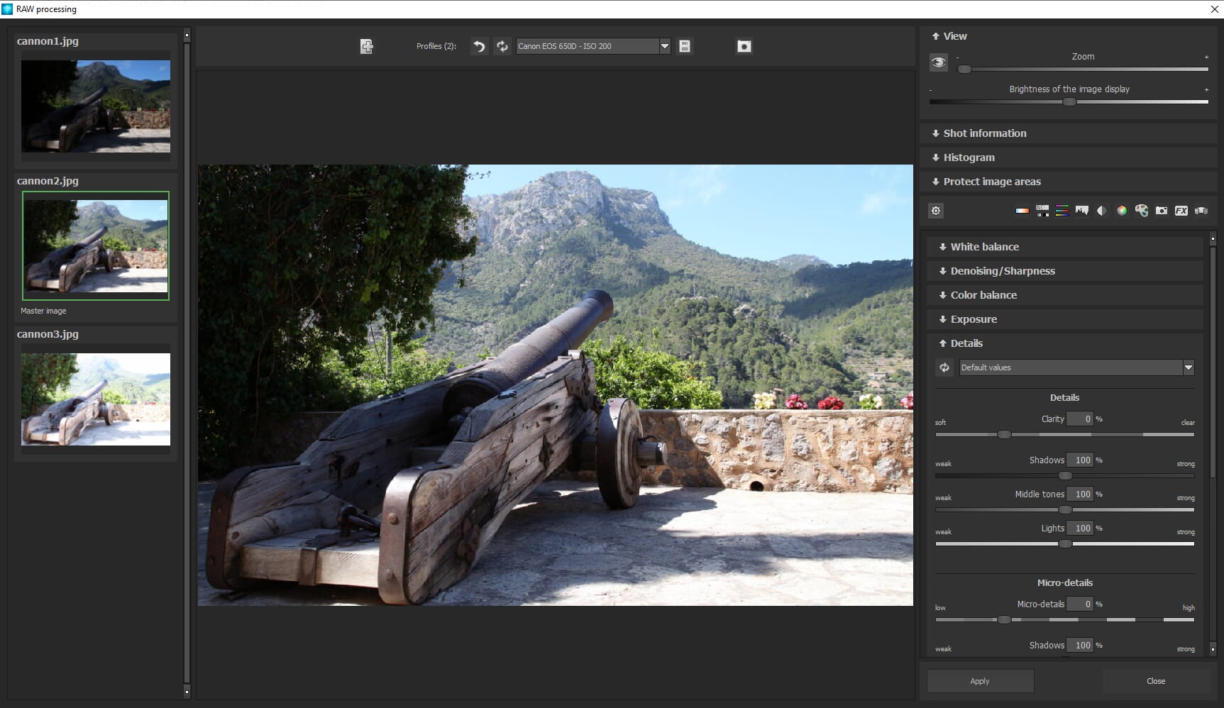 RAW module showing color tools