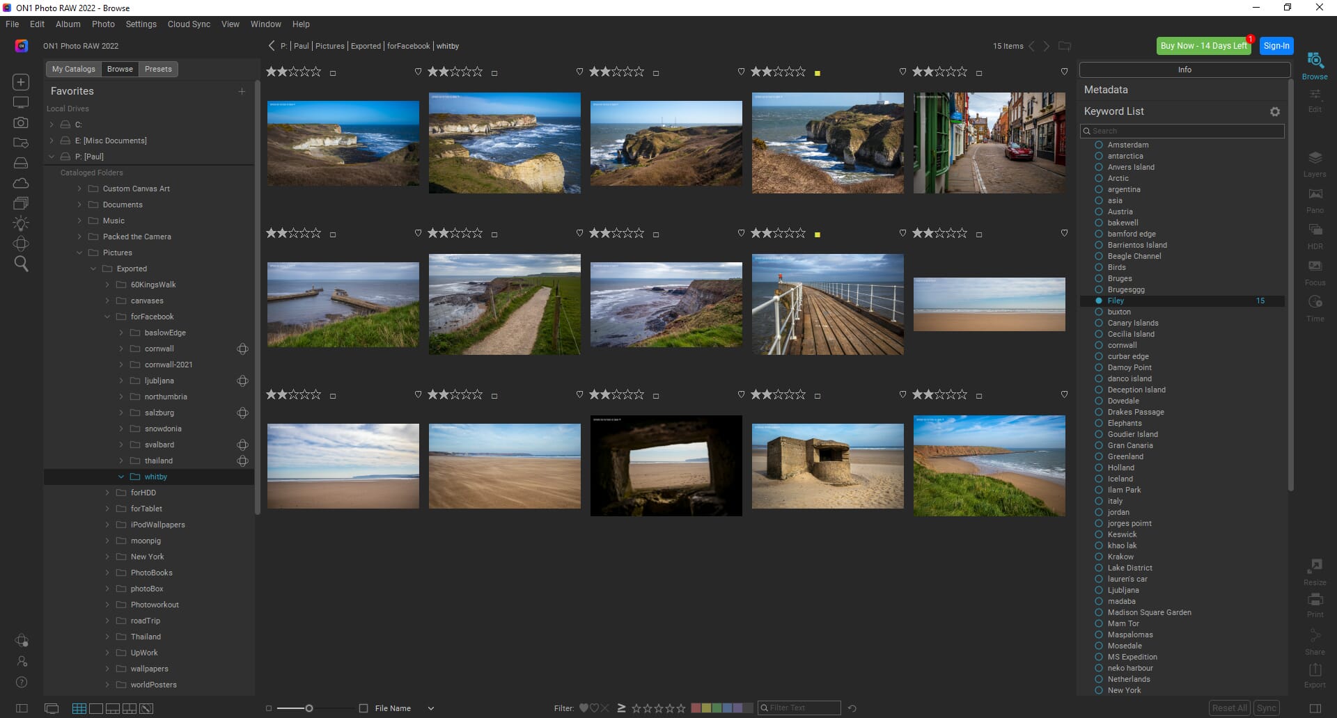 Folder view in the Browse file management tab