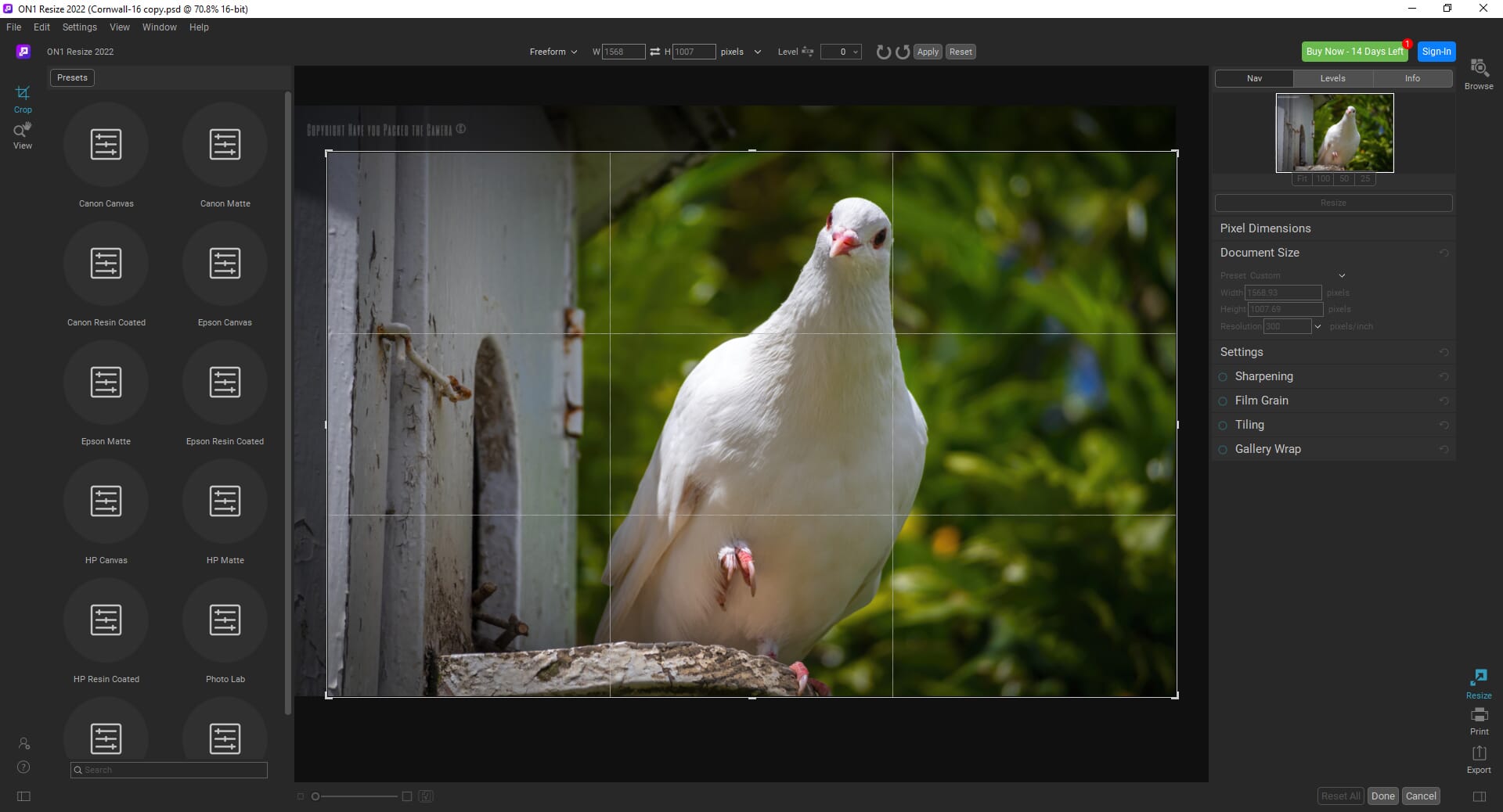Using the crop tool in ON1 Resize 2022