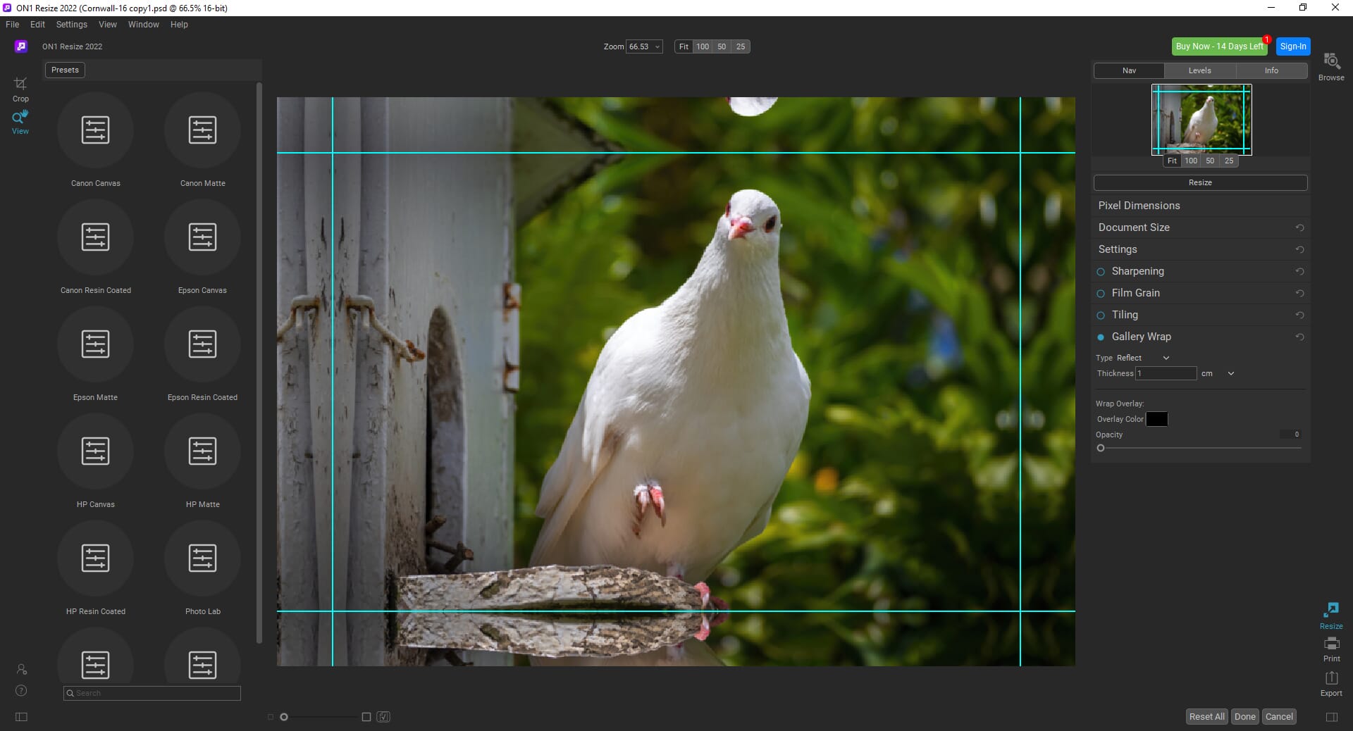 Using the Gallery Wrap feature for canvas prints