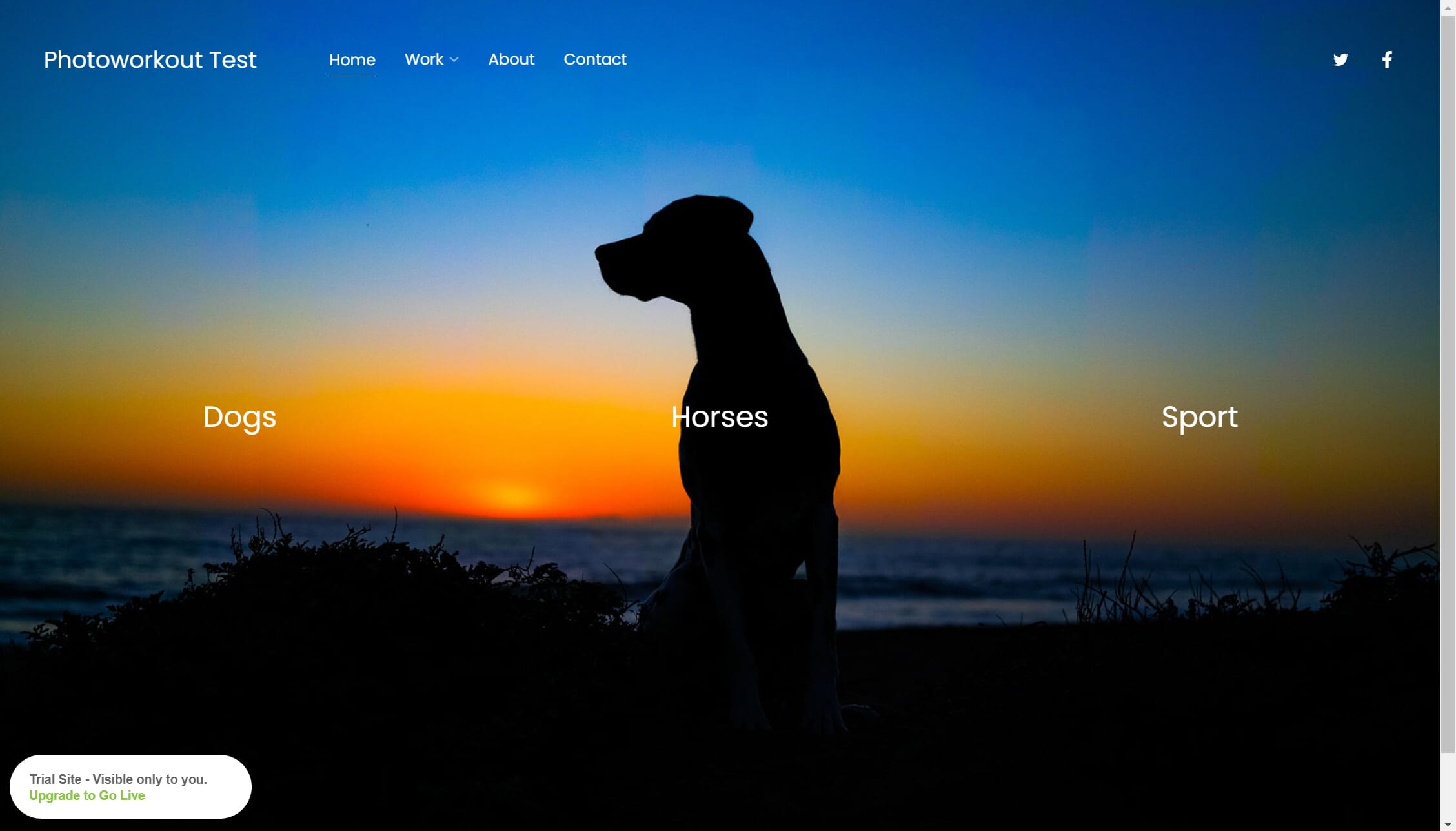 The final website looked nice!