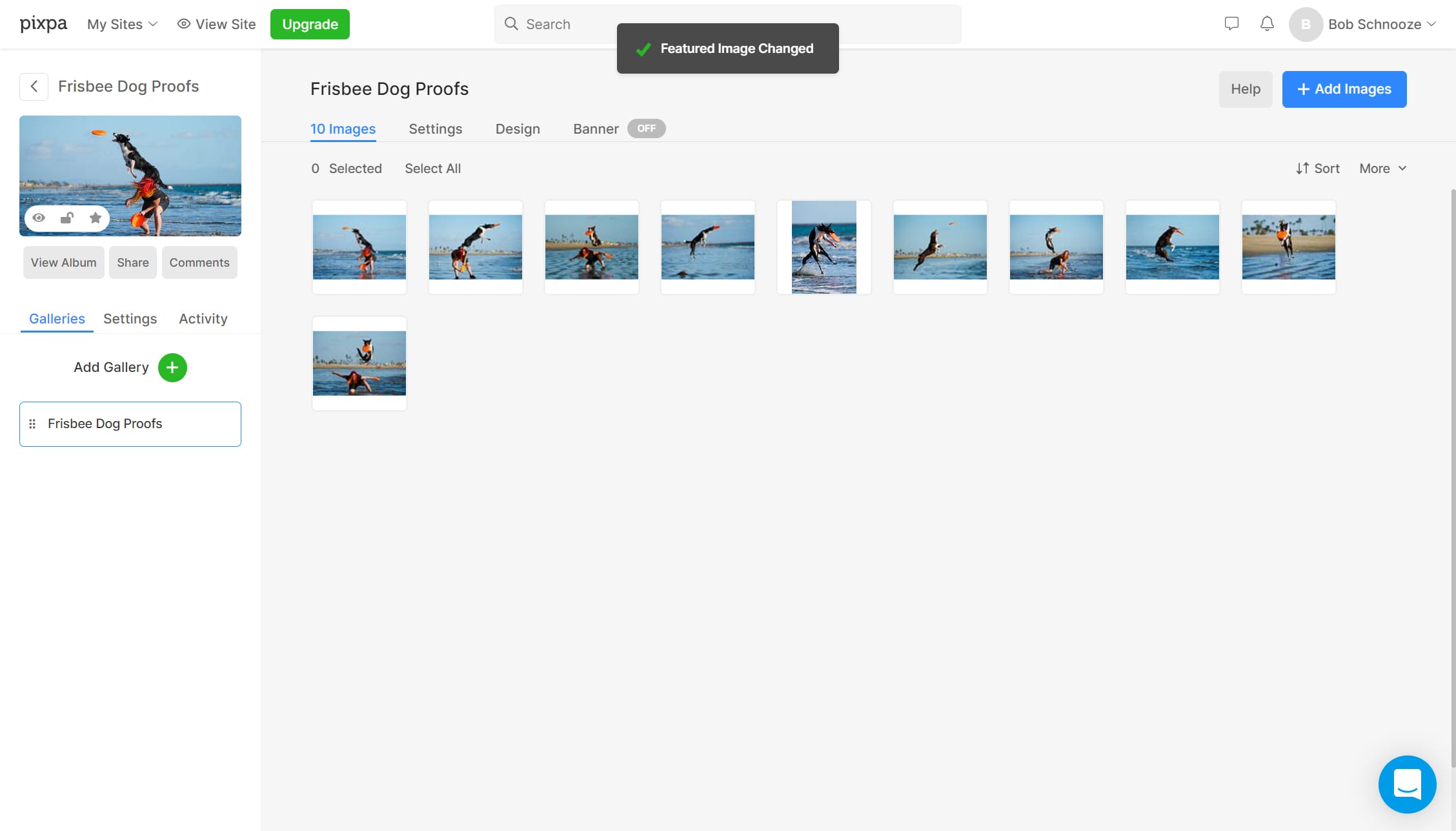 The gallery feature has everything you could possibly want.