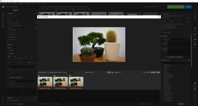 The Best Focus Stacking Software The Top Software Compared