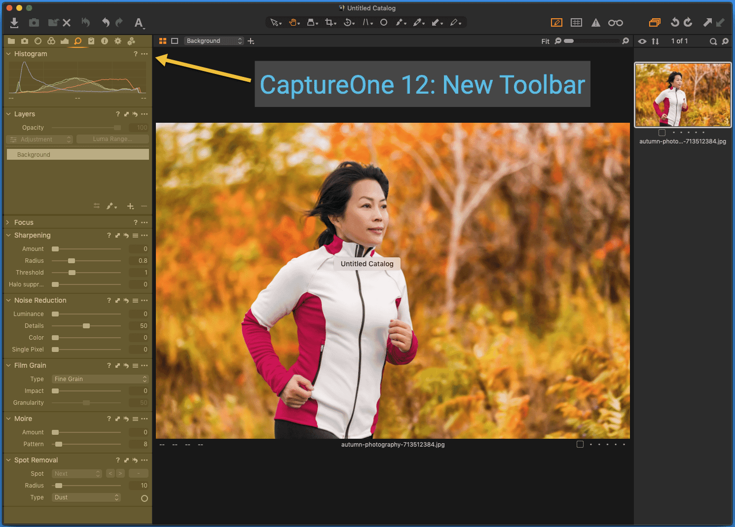 what is capture one pro software