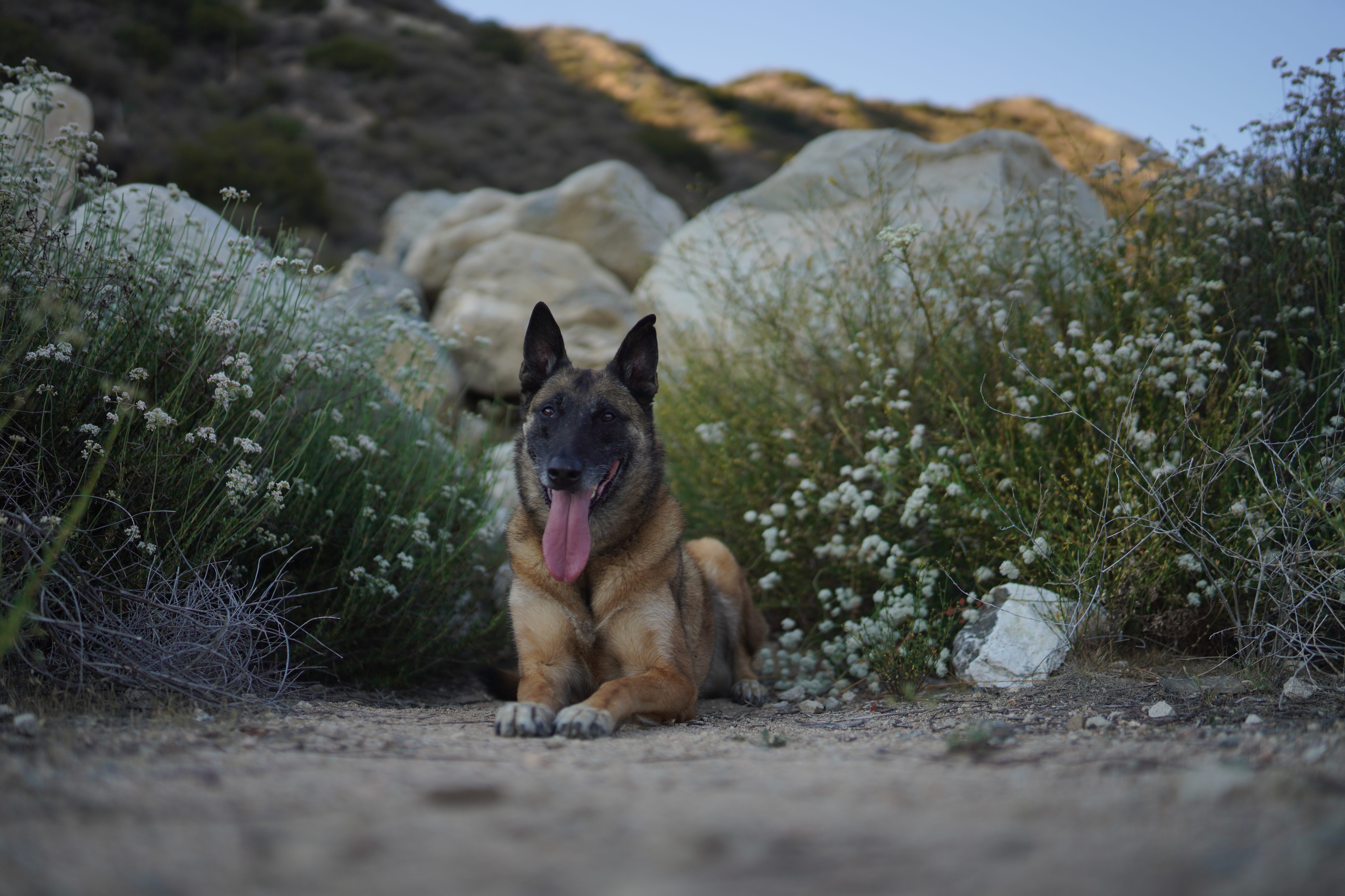 We want to get that rock out of the shot.