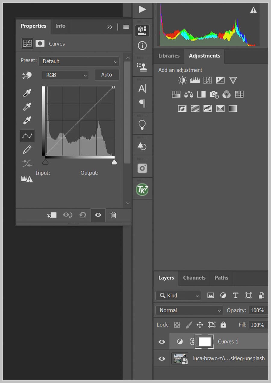 Curves dialog showing the default diagonal line with histogram