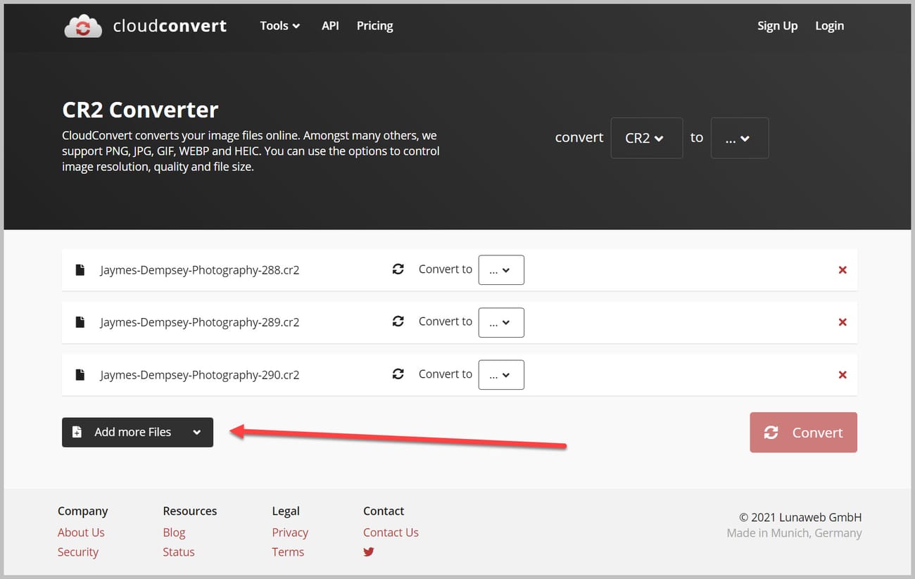 You can add additional RAW files for conversion.