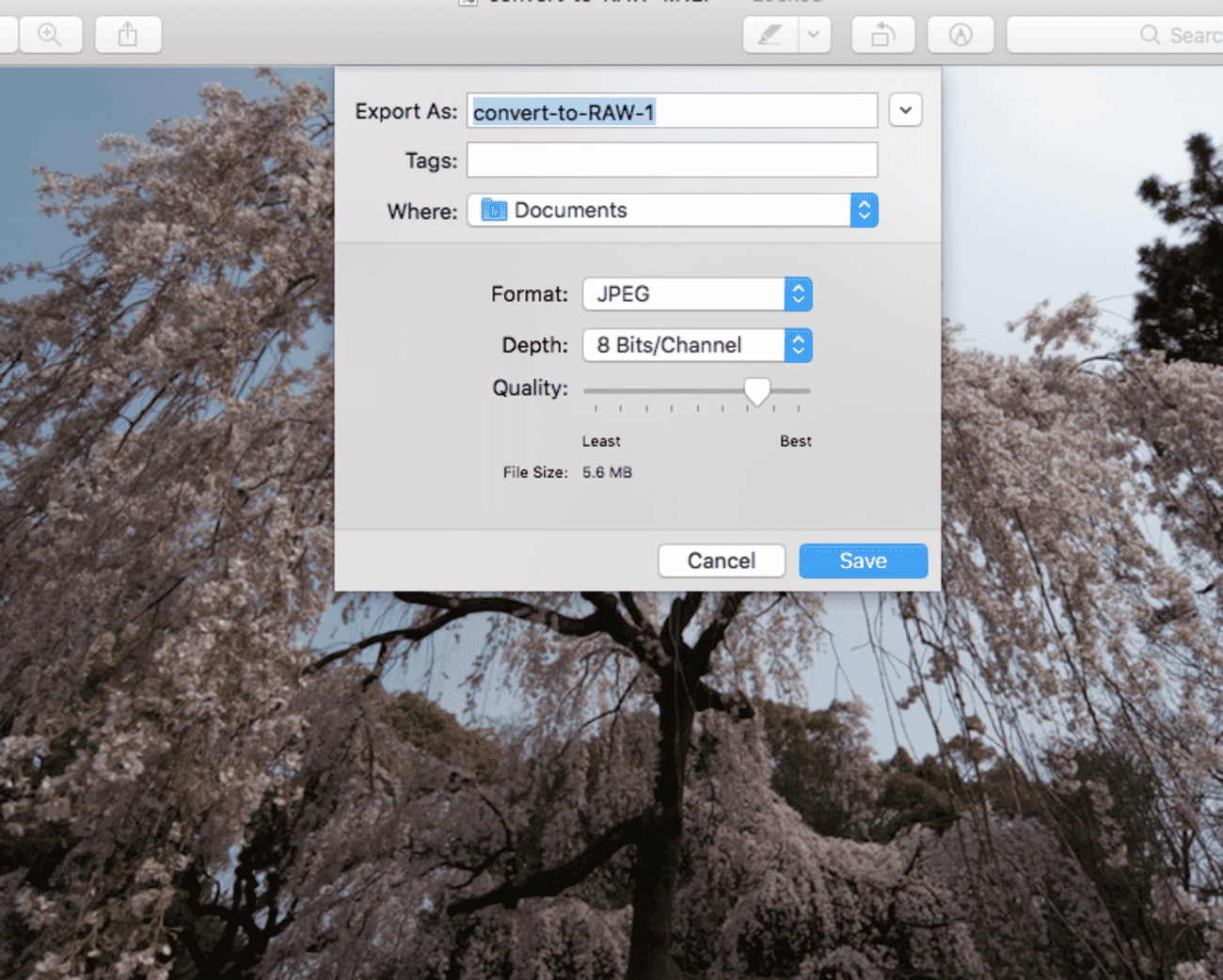 The JPEG conversion dialog box.