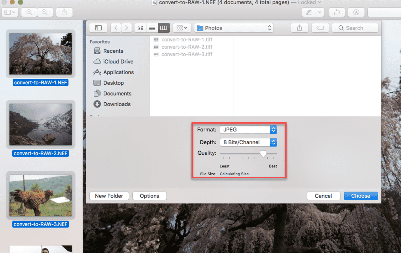 Select your JPEG settings.