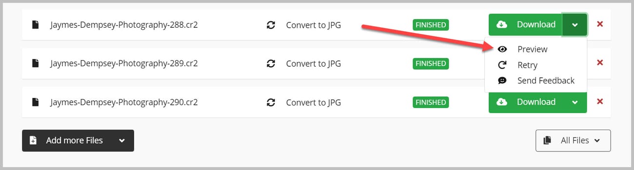 You can also view the JPEGs in the browser window.