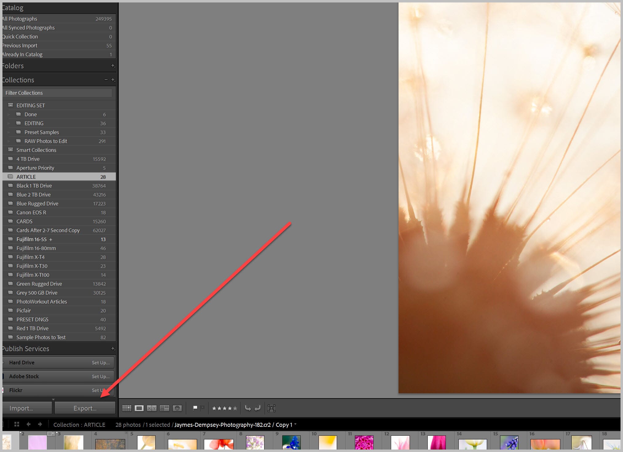 Start het conversieproces in Lightroom met strongExport/strong.