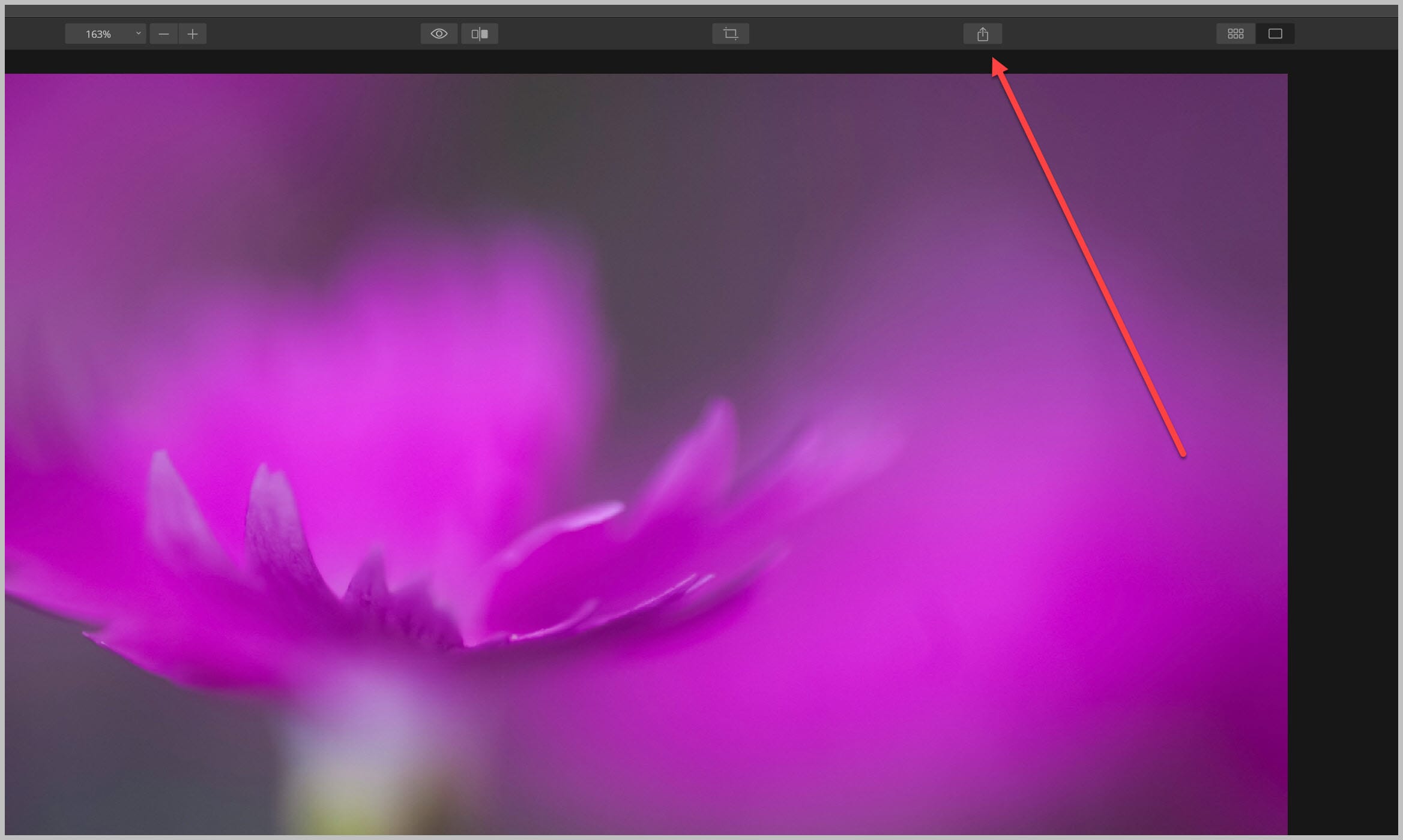 Utilizzare strongExport / strongicon per iniziare con la conversione RAW in Luminar 4.