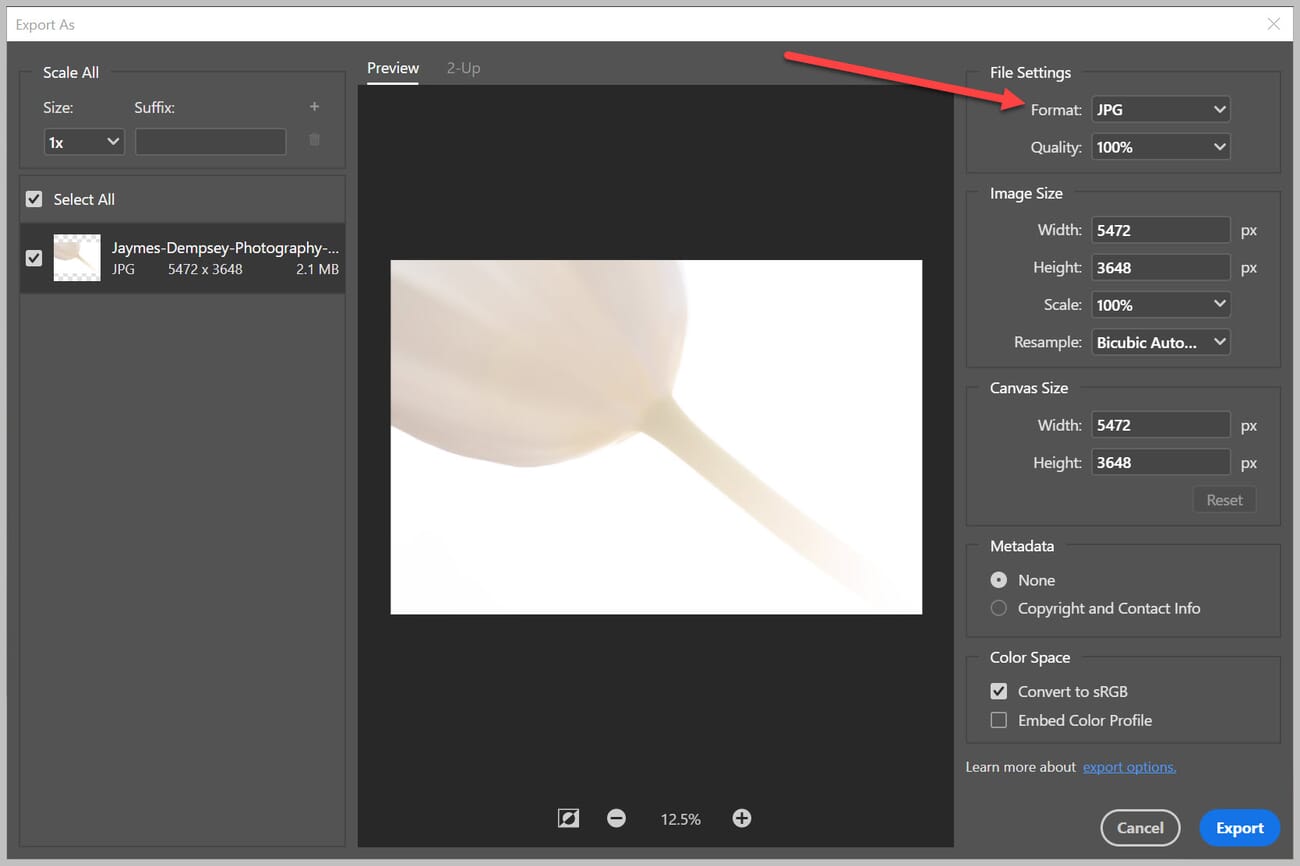 Pick JPEG and adjust your settings.