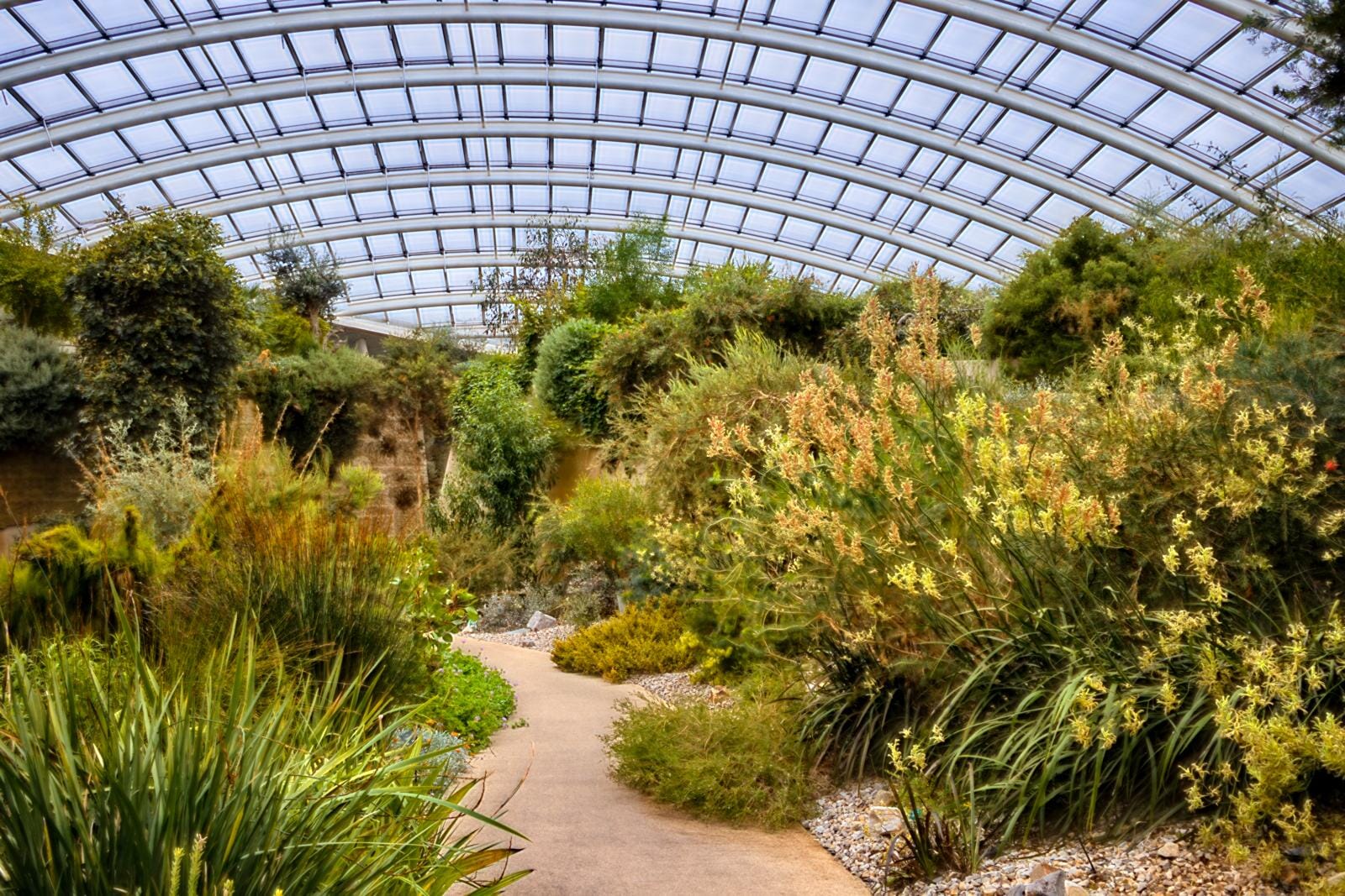 Sample image with AI HDR applied.