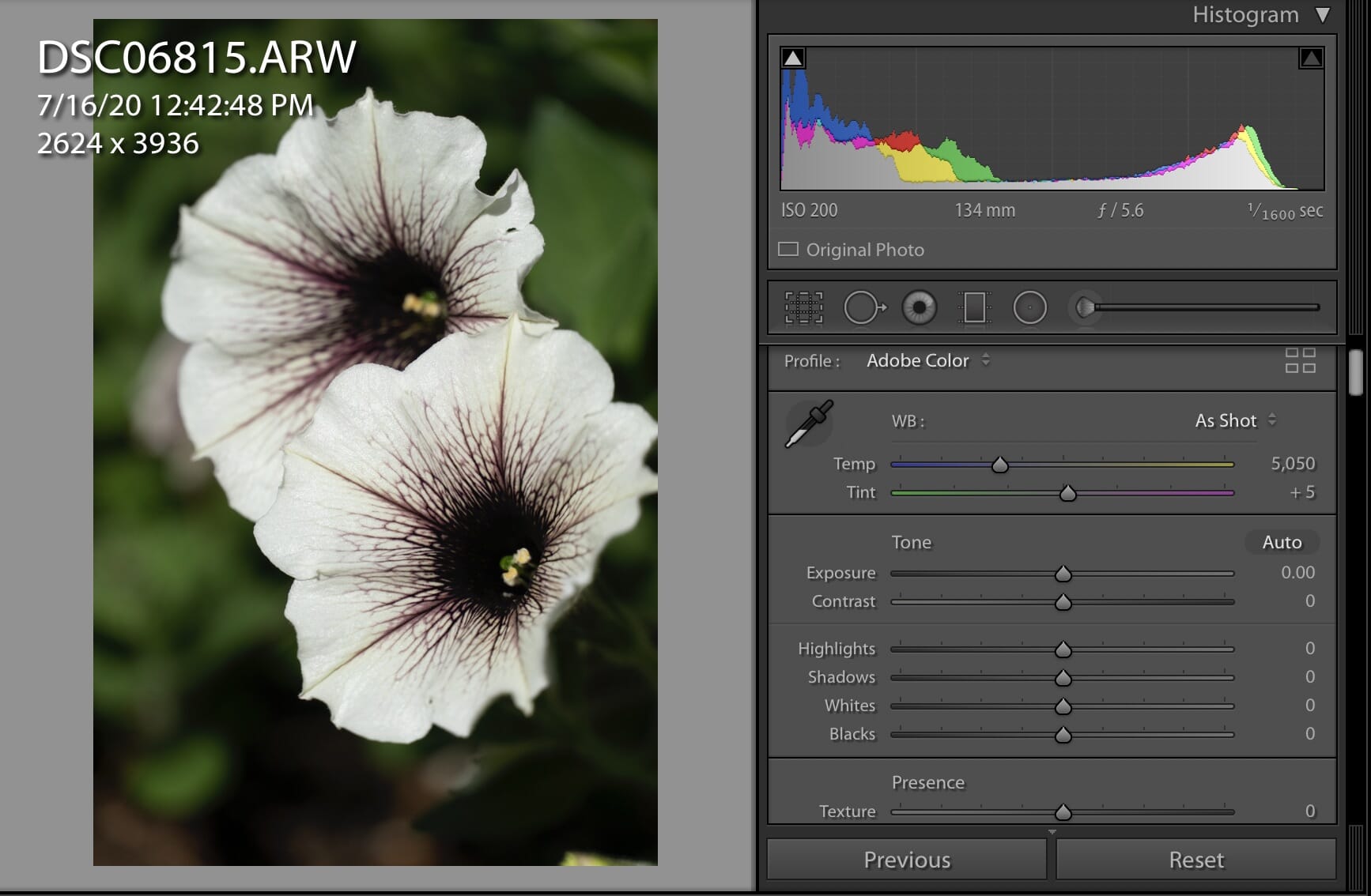 adobe photoshop vs lightroom 6