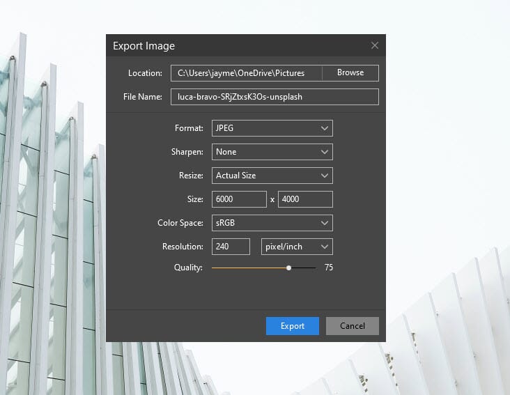 Luminar's Export options are rather basic.