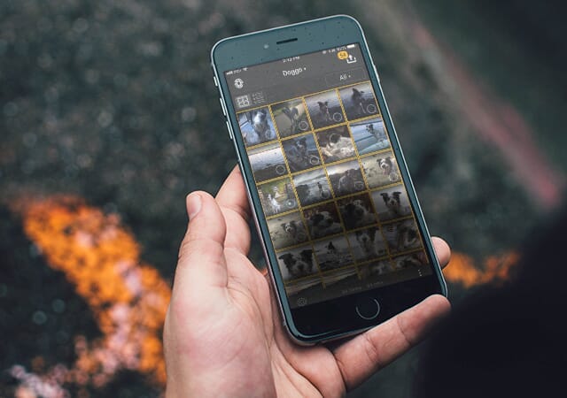 ACDSee permite sincronizar las fotos entre dispositivos a través de su aplicación móvil.
