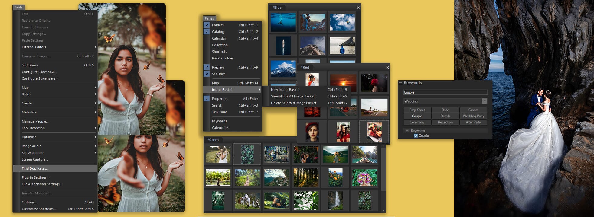 La gamme de filtres et de fonctionnalités d'ACDSee peut vous aider à simplifier vos archives photo.'s range of filters and features can aid in simplifying your photo archives.