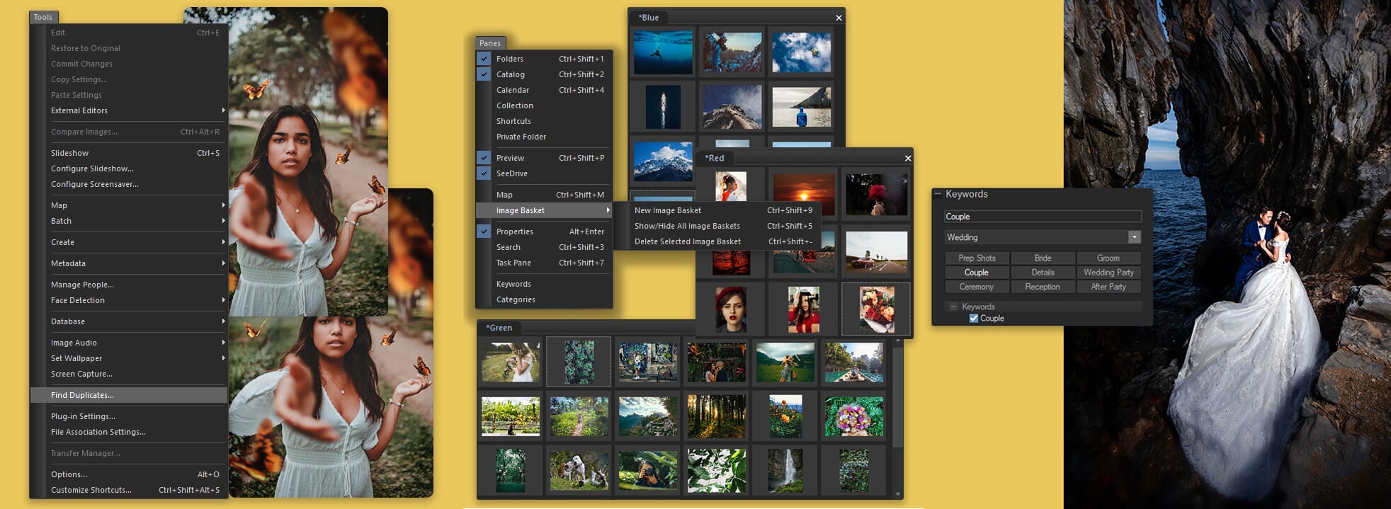 ACDSee's scala aan filters en functies kan helpen bij het vereenvoudigen van uw fotoarchieven.'s range of filters and features can aid in simplifying your photo archives.