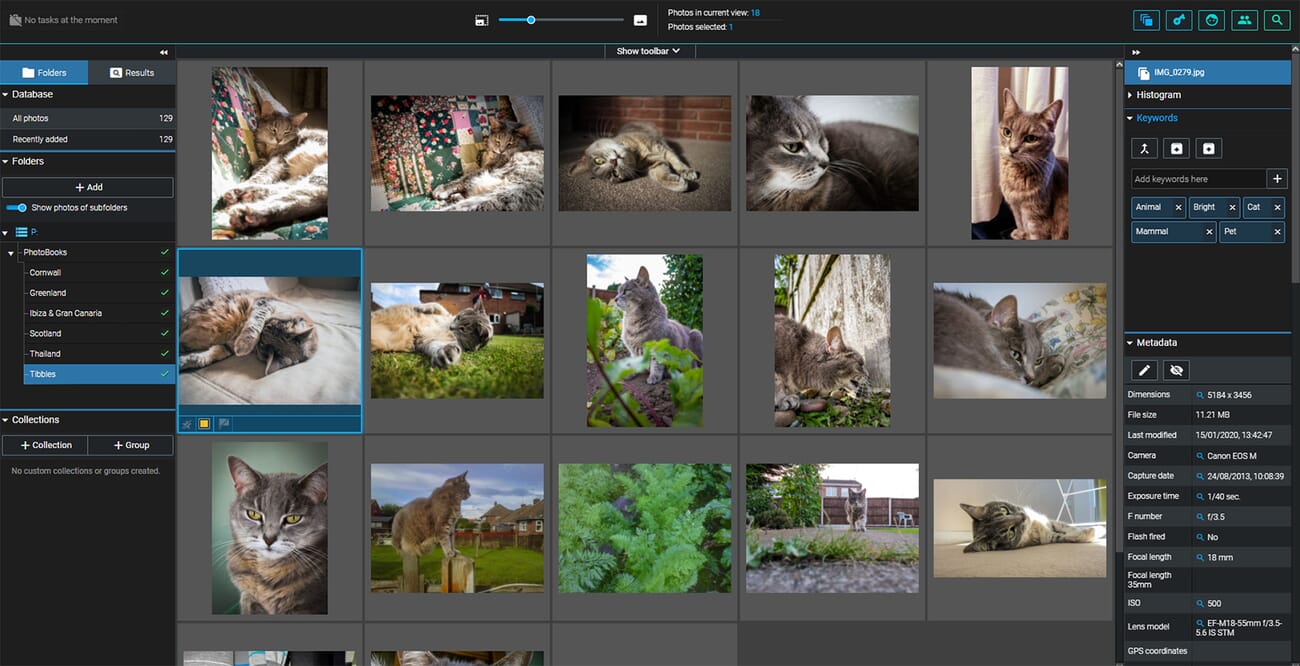 Excire Foto main layout