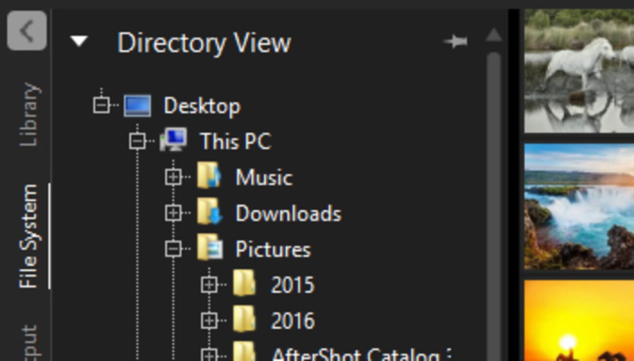 AfterShot can be a little clunky, but it does allow you to view your drive's existing photo hierarchy.