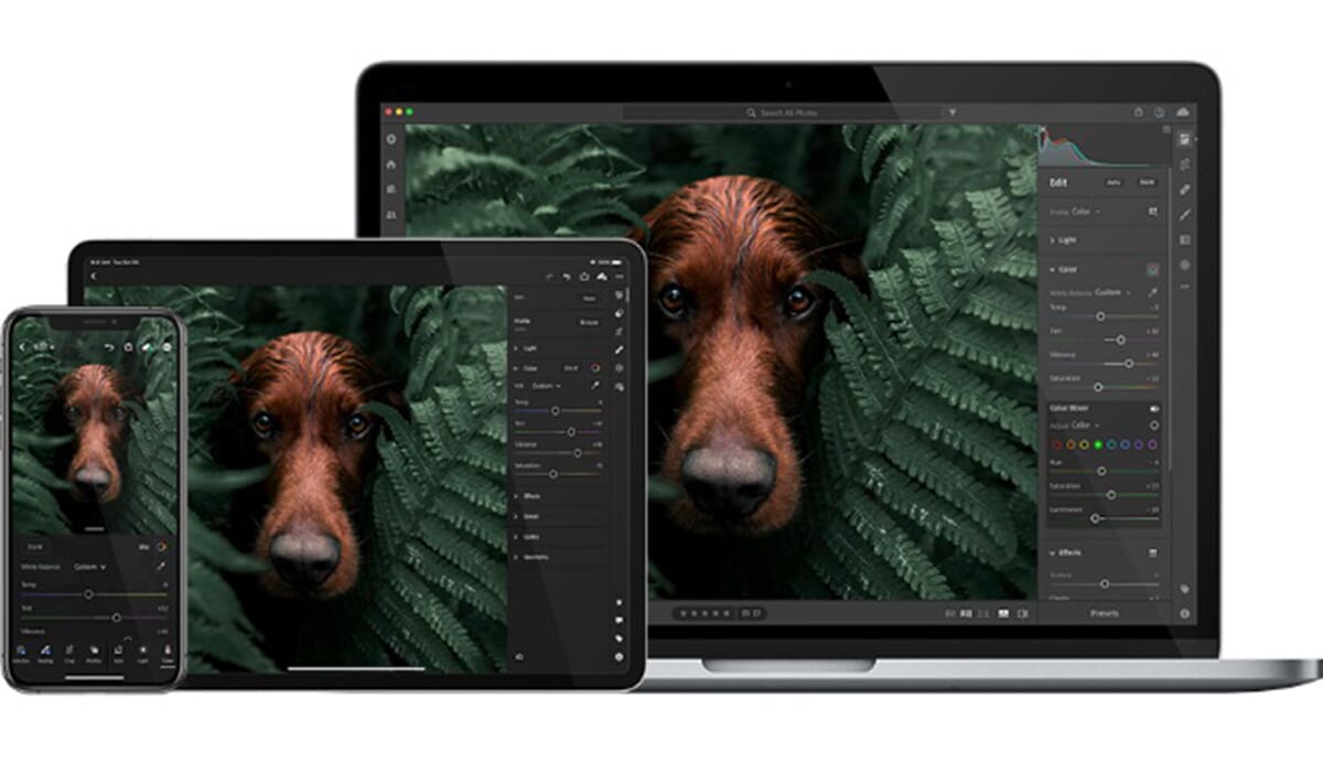 what the best photo management software for mac