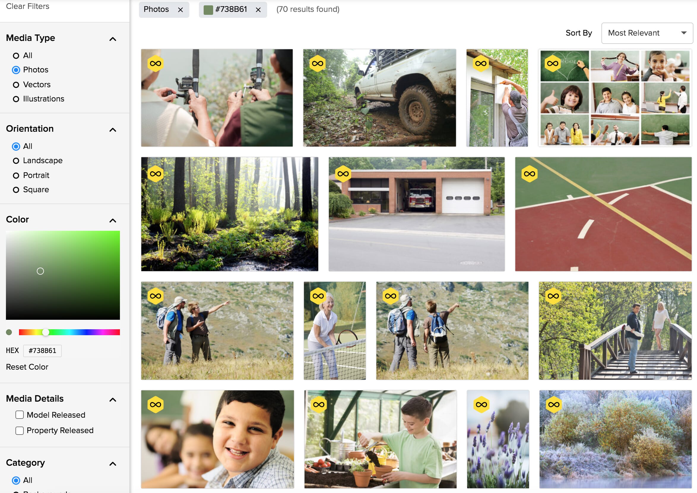 Storyblocks search results for HEX #738B61