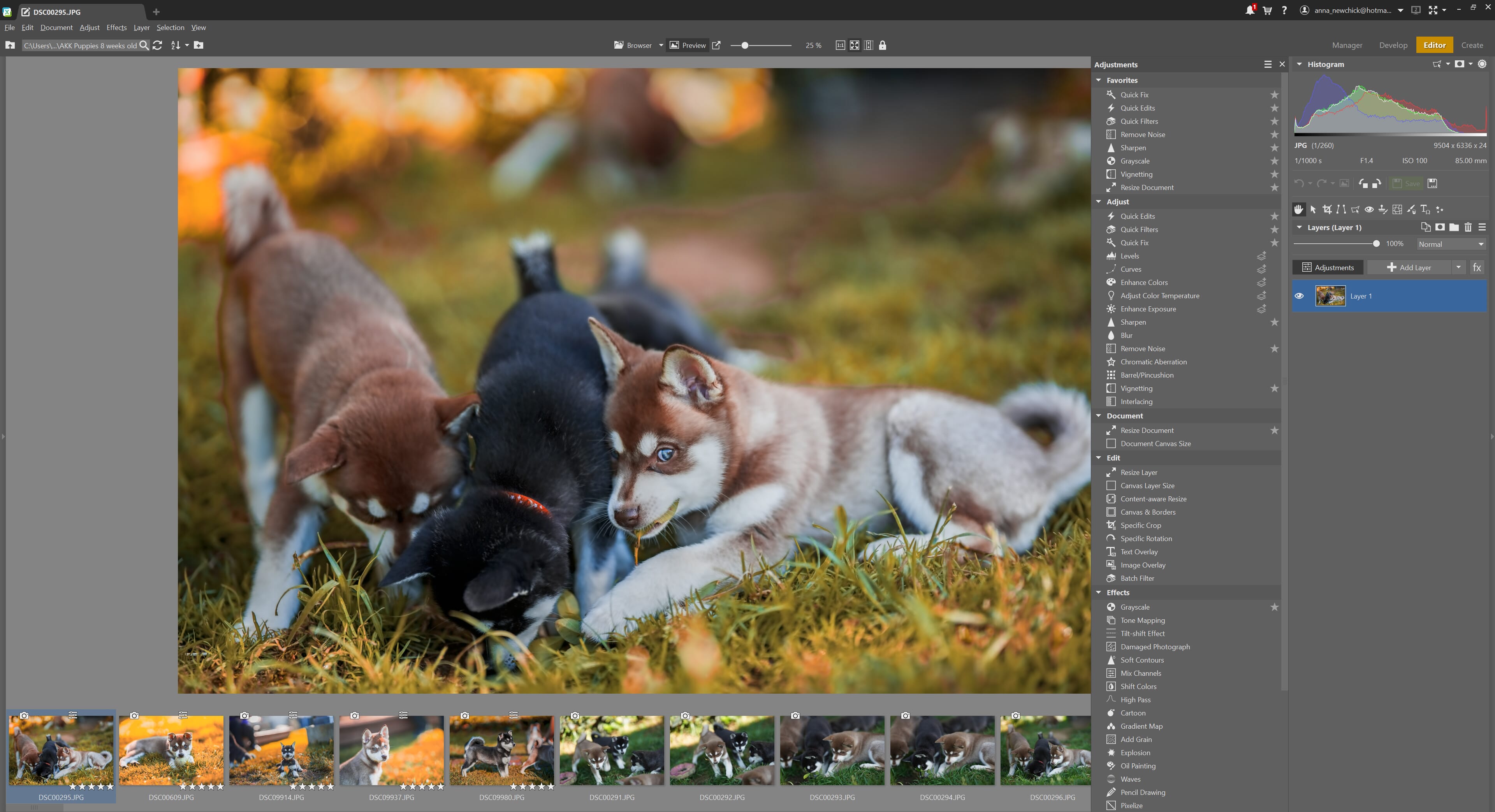 There is another slew of fun tools in the Editor tab!