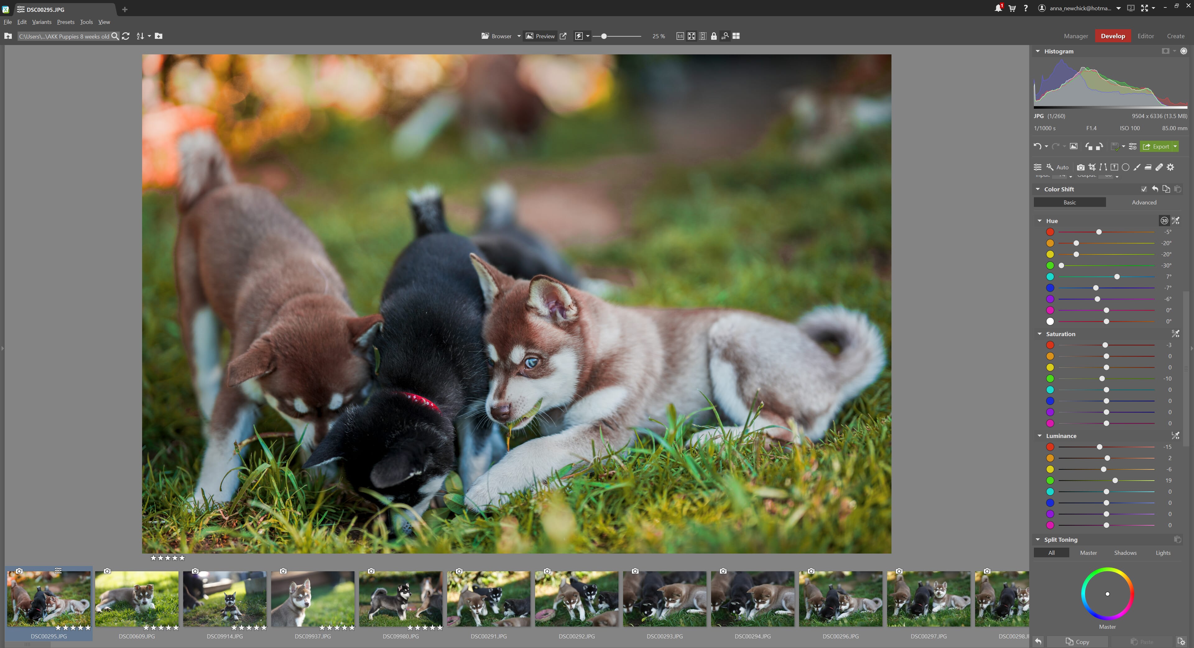 zoner photo studio x review 9