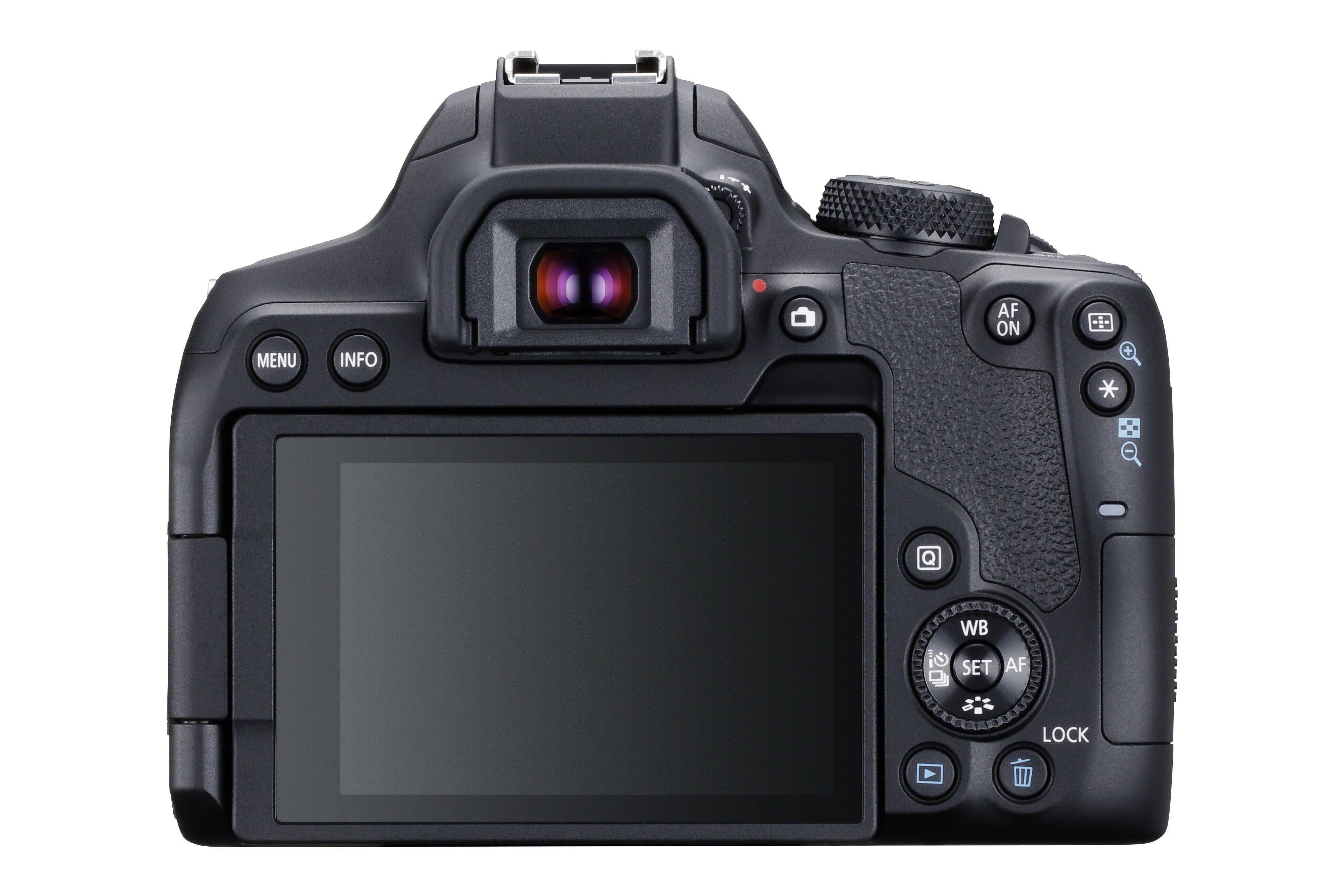 The Best Budget DSLRs in 2021 10 Picks to Kickstart Your Photography