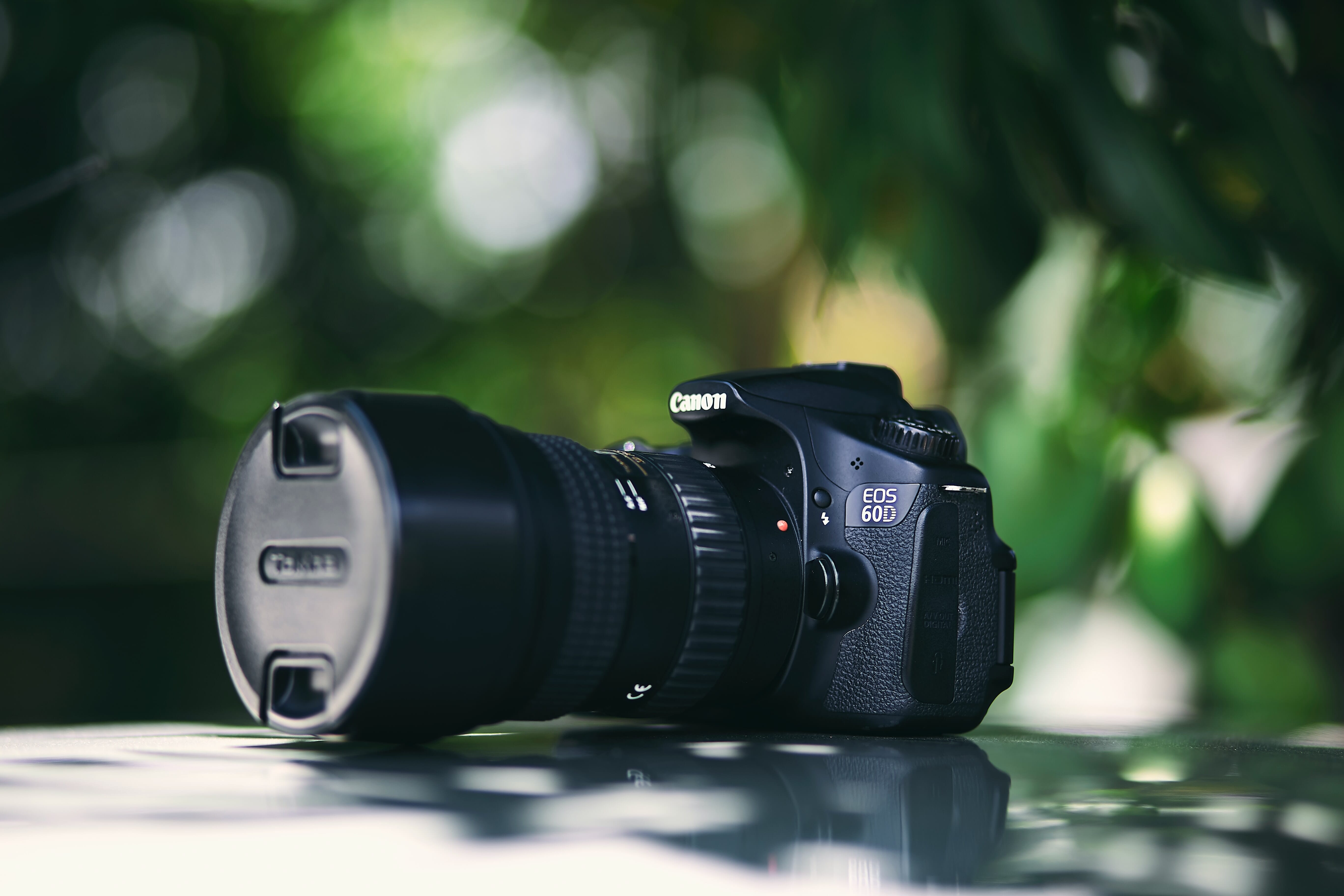 DSLR vs Point and Shoot Which Camera Type Is Best?