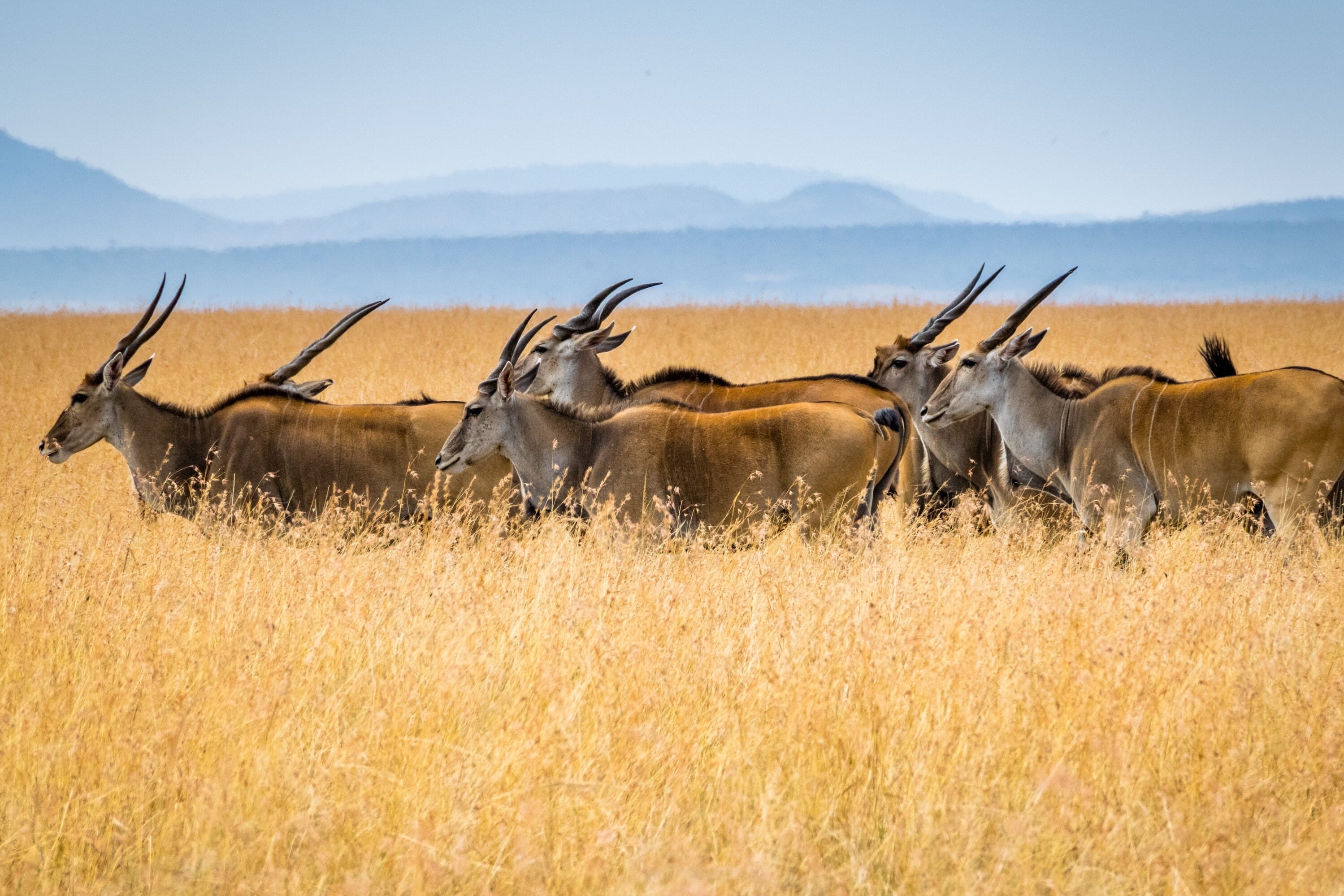 best camera for nature photography