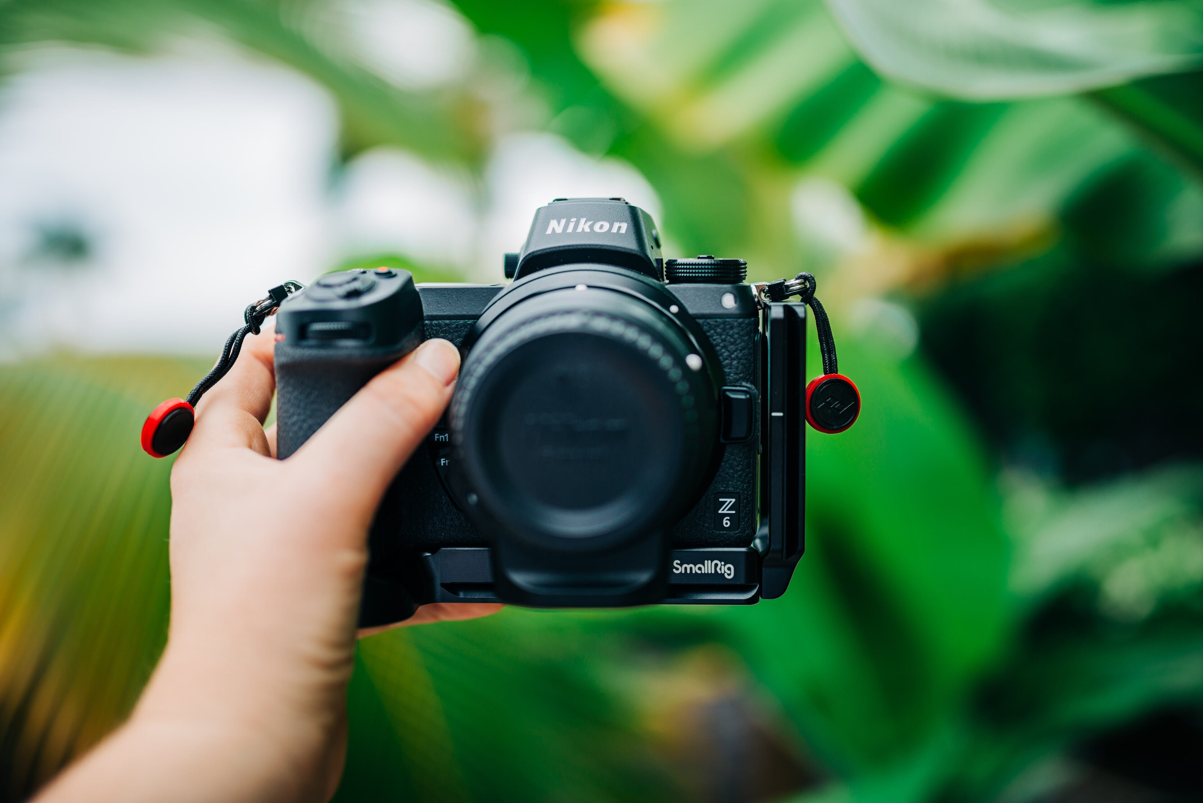 best cameras for Instagram photos