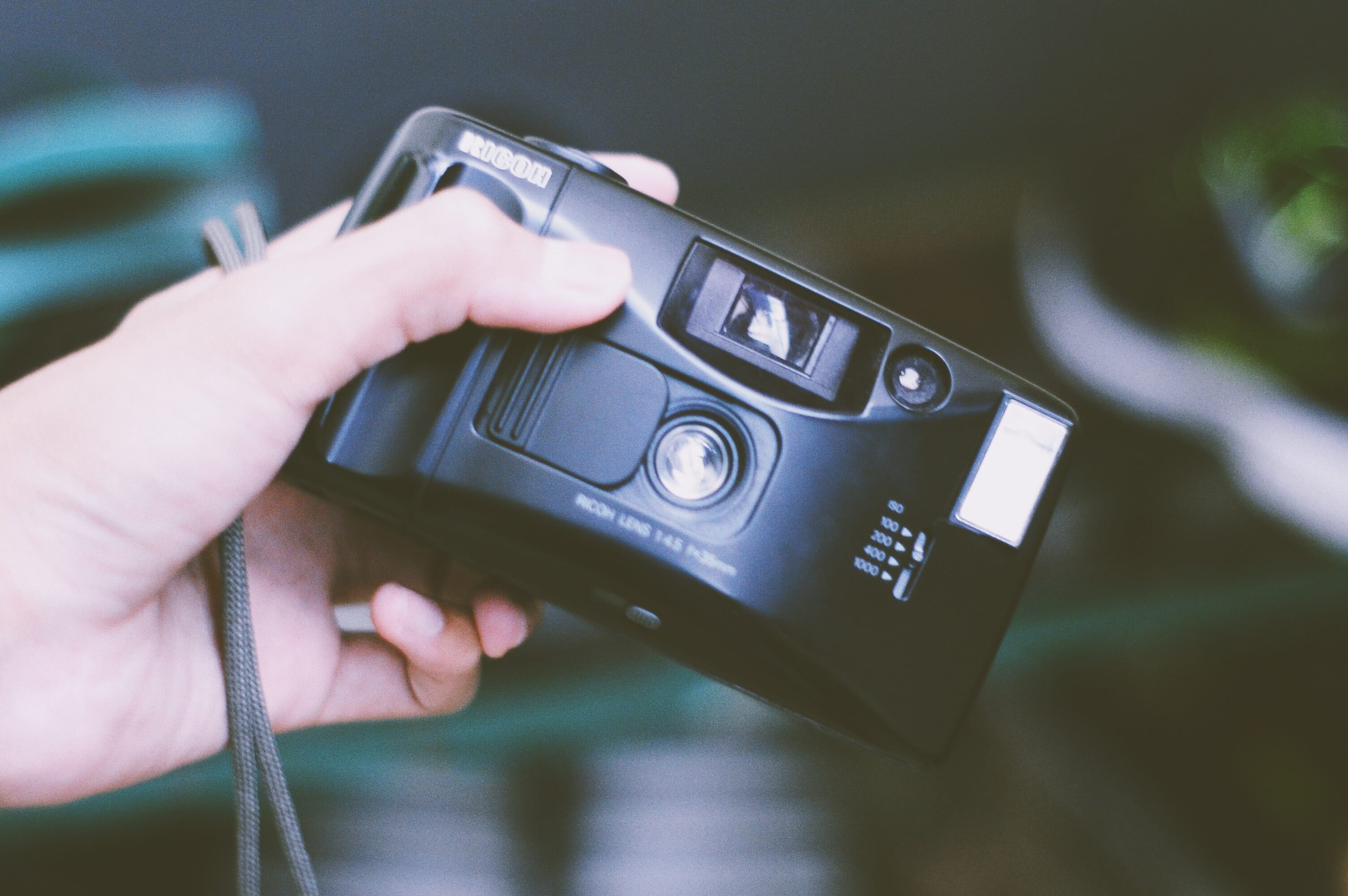 The Best Disposable Cameras Where to Buy and When to Use