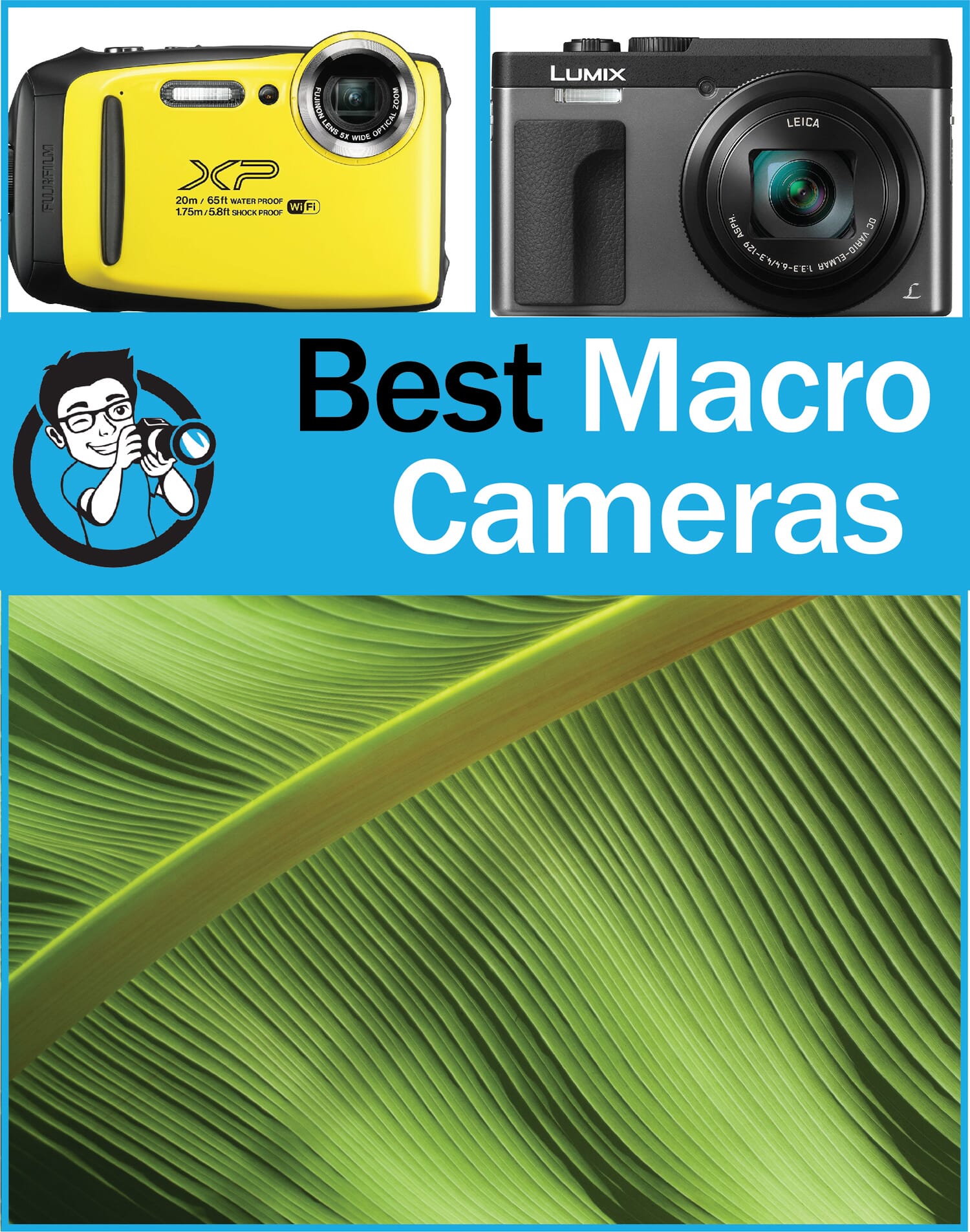 Best Macro Photography Cameras (11 Great Cams in 2021)