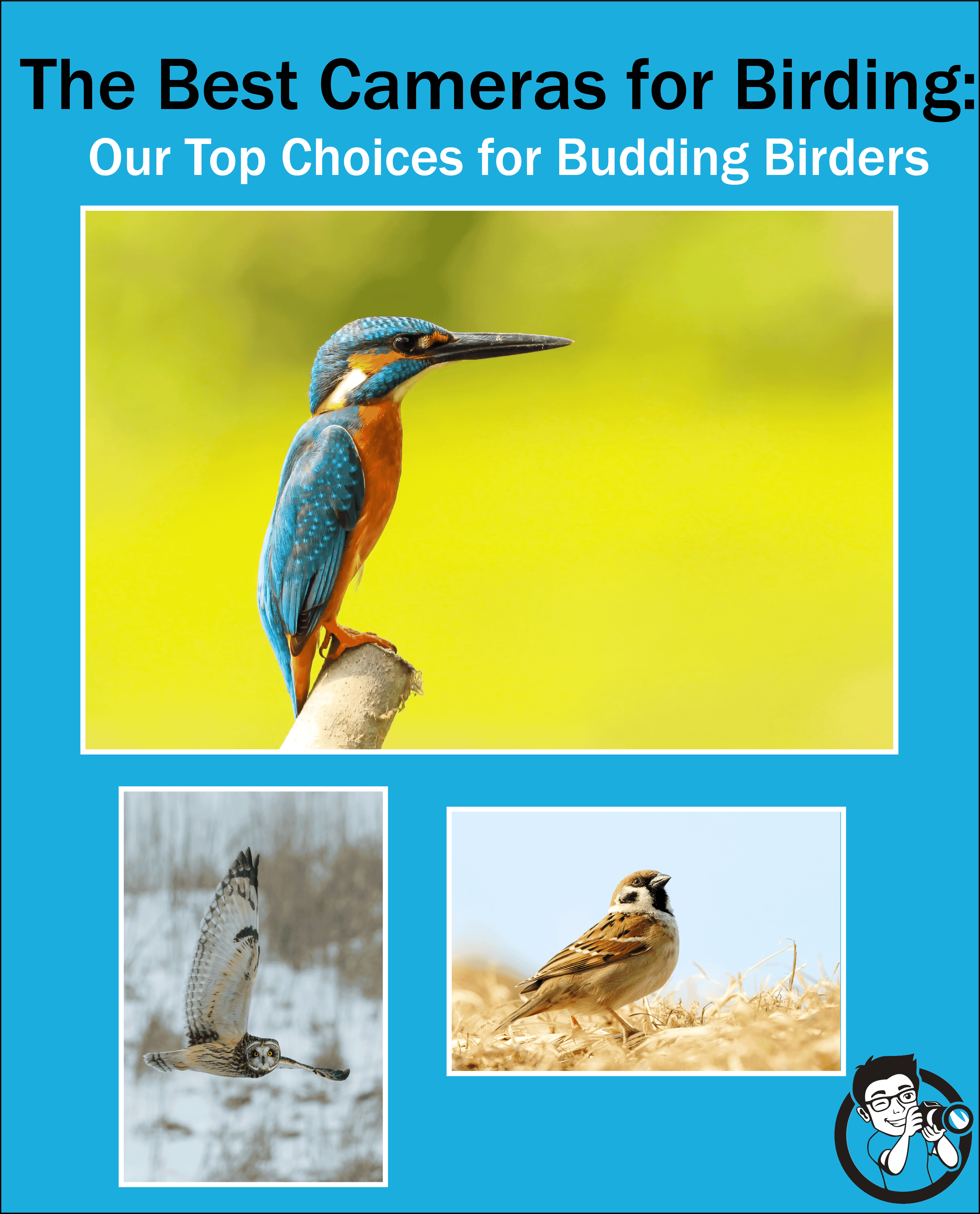 The Best Cameras for Birding Our Top Choices for Budding Birders