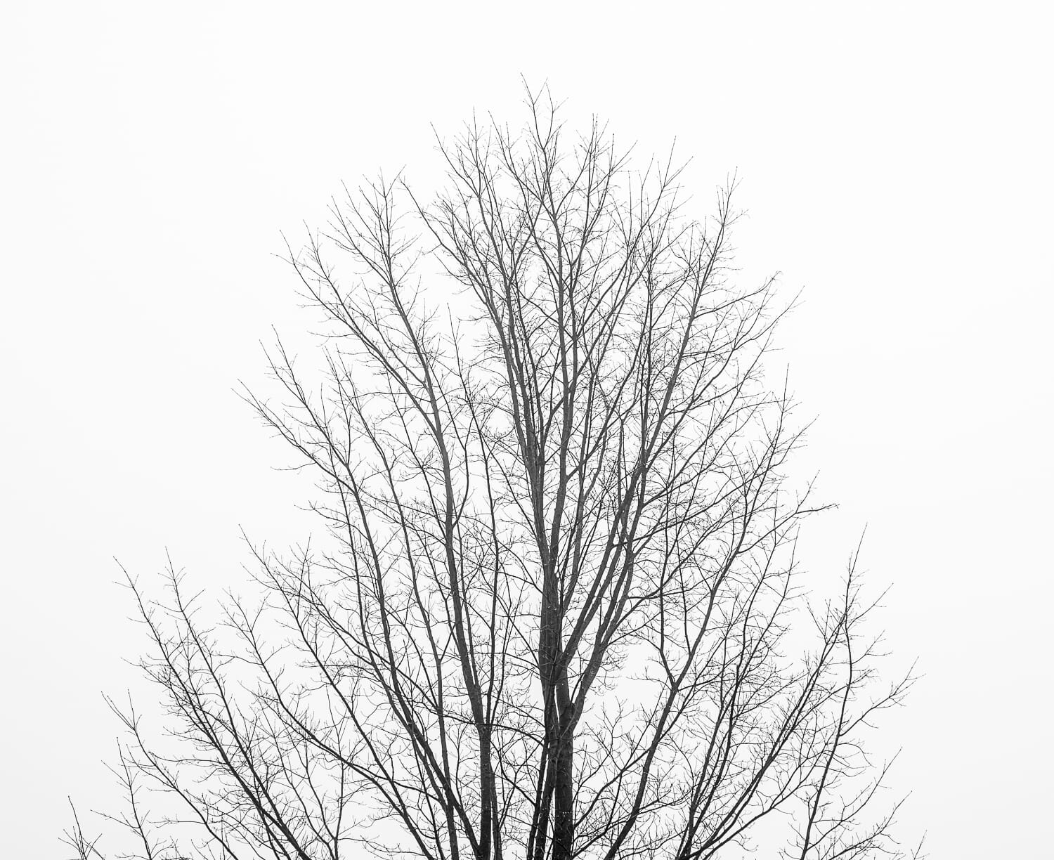 landscape shot
