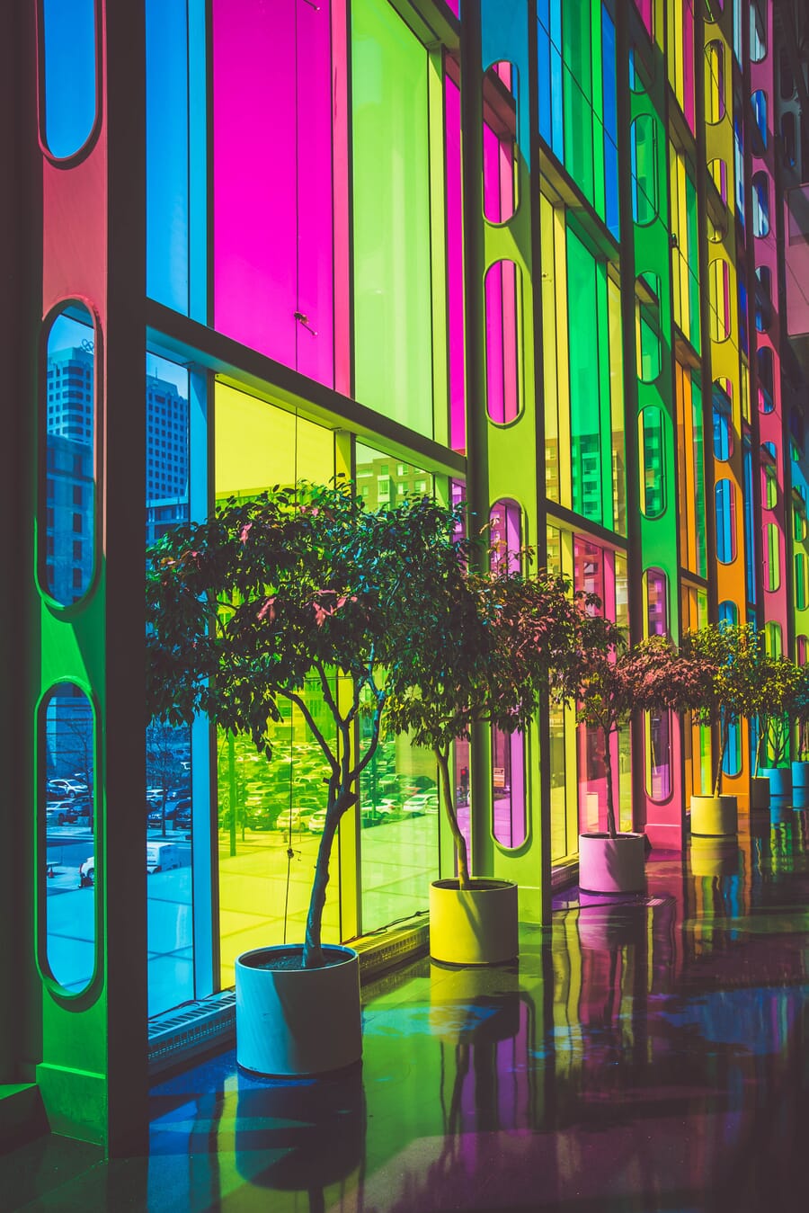 Photograph illustrating how color shapes aesthetic