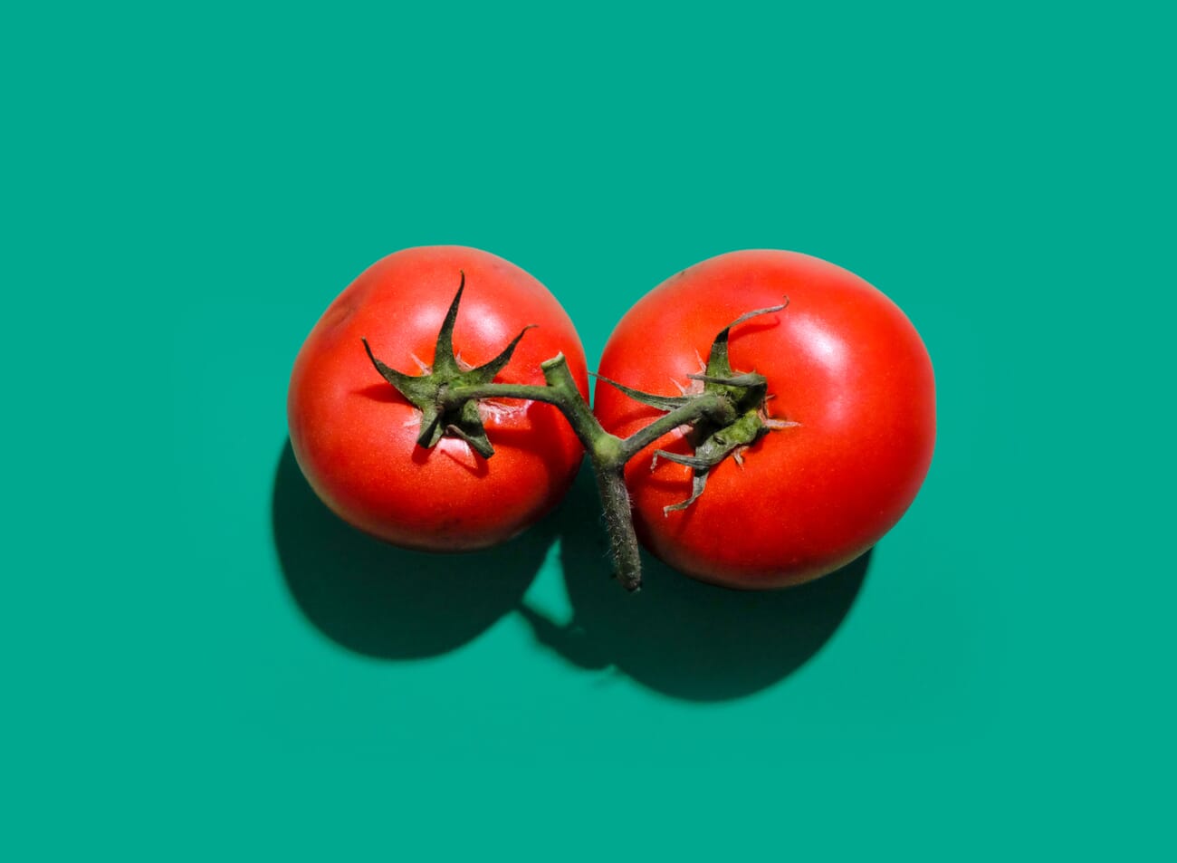 Red tomatoes against a green background