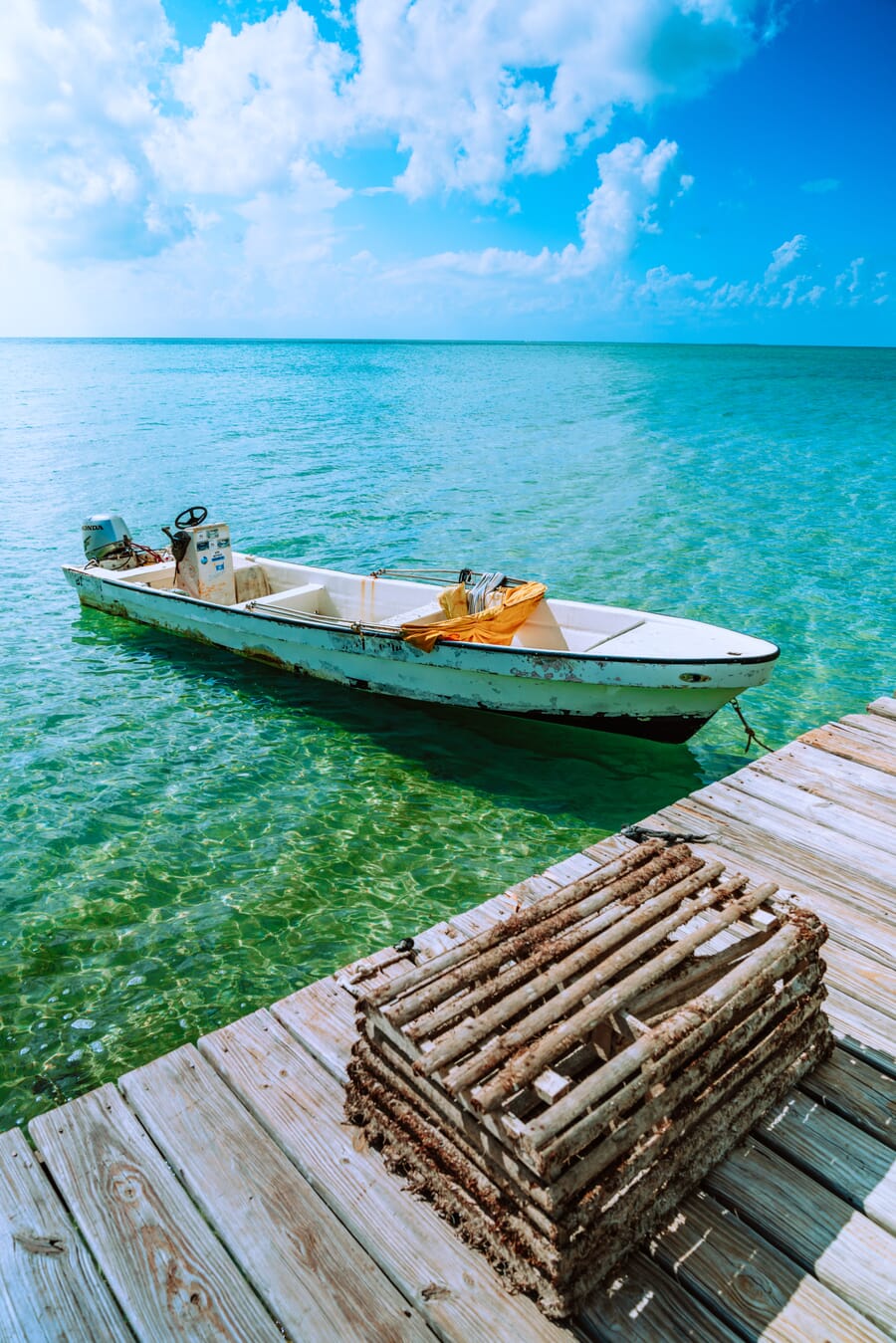 Photograph with a peaceful blue-green palette