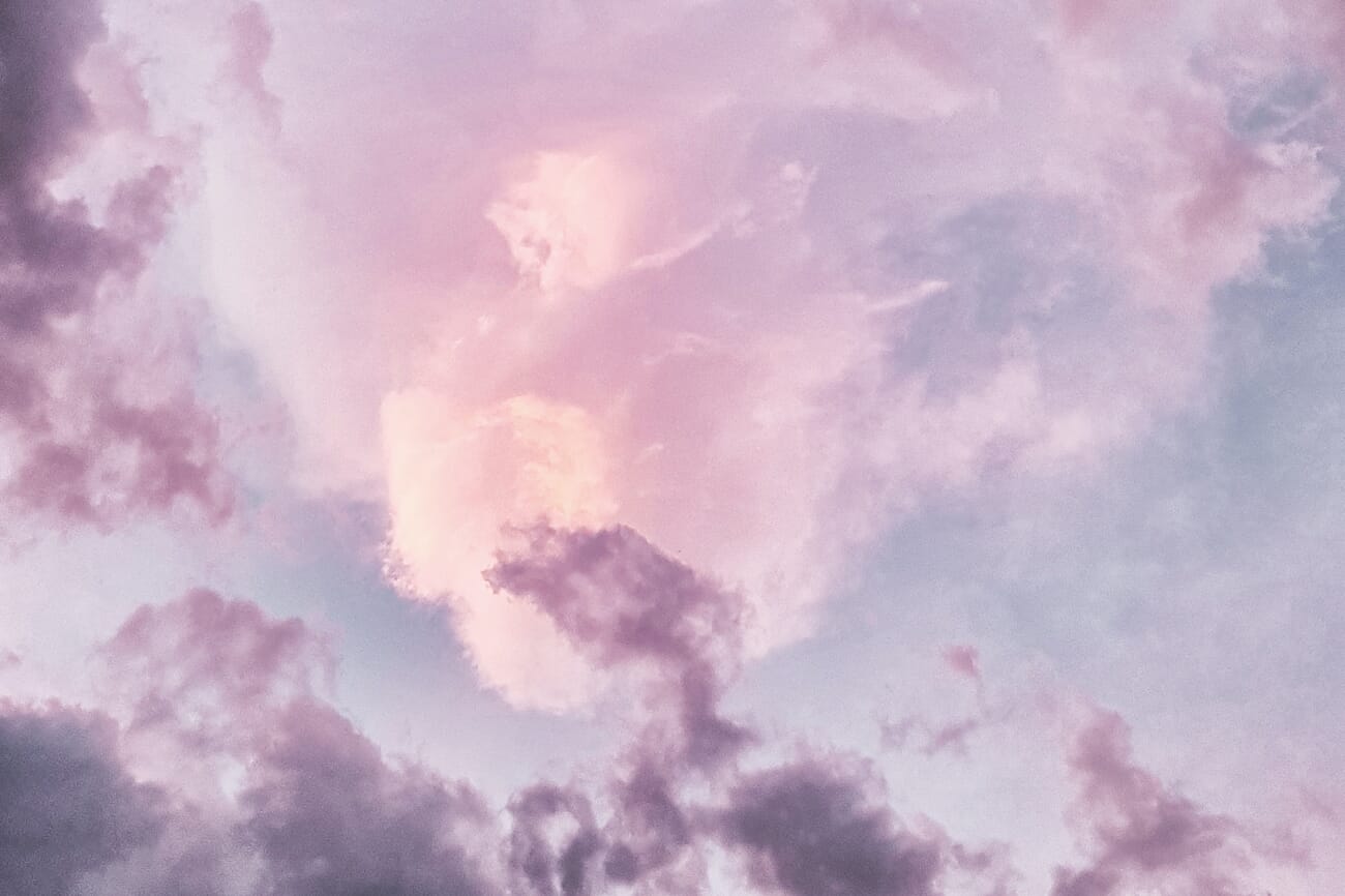 Warm sunlit photograph illustrating photography aesthetics