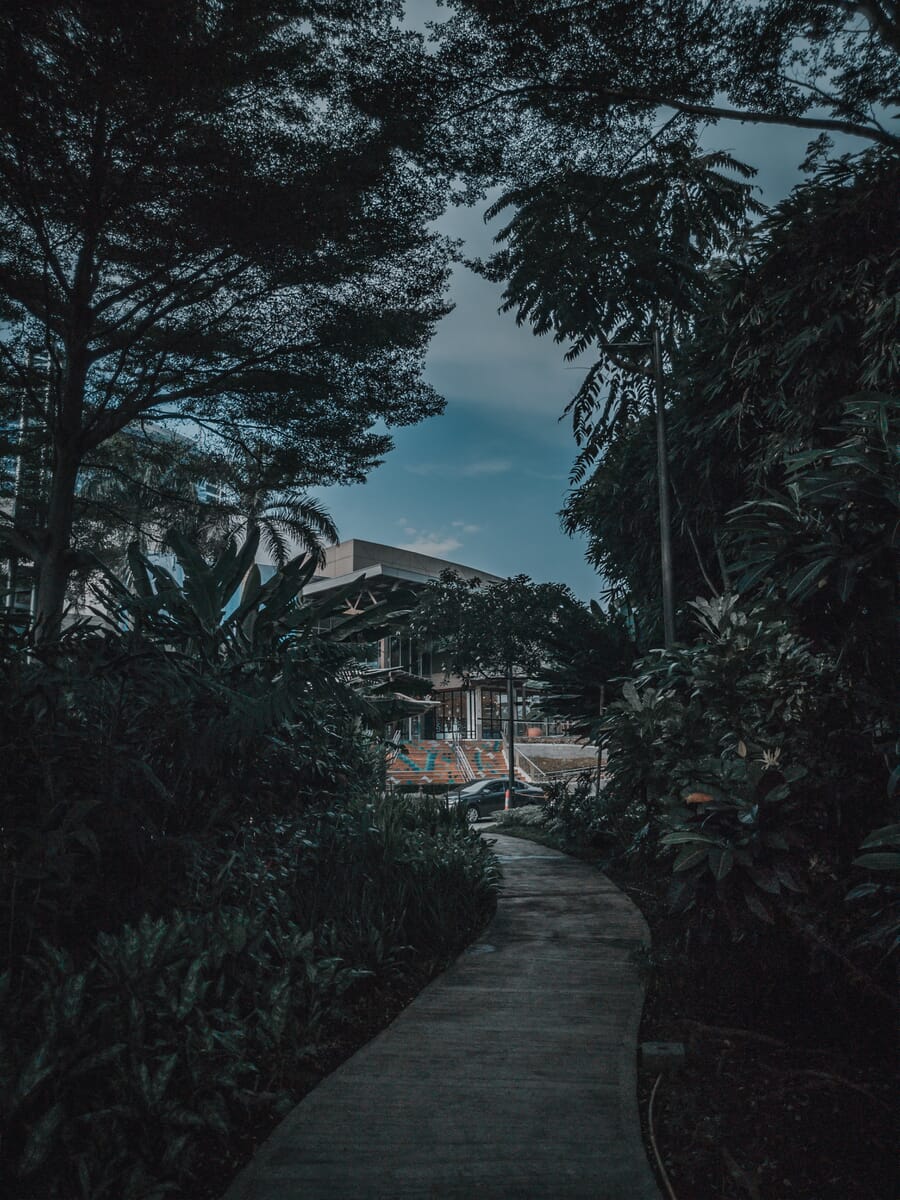Dark moody photograph with deep shadows