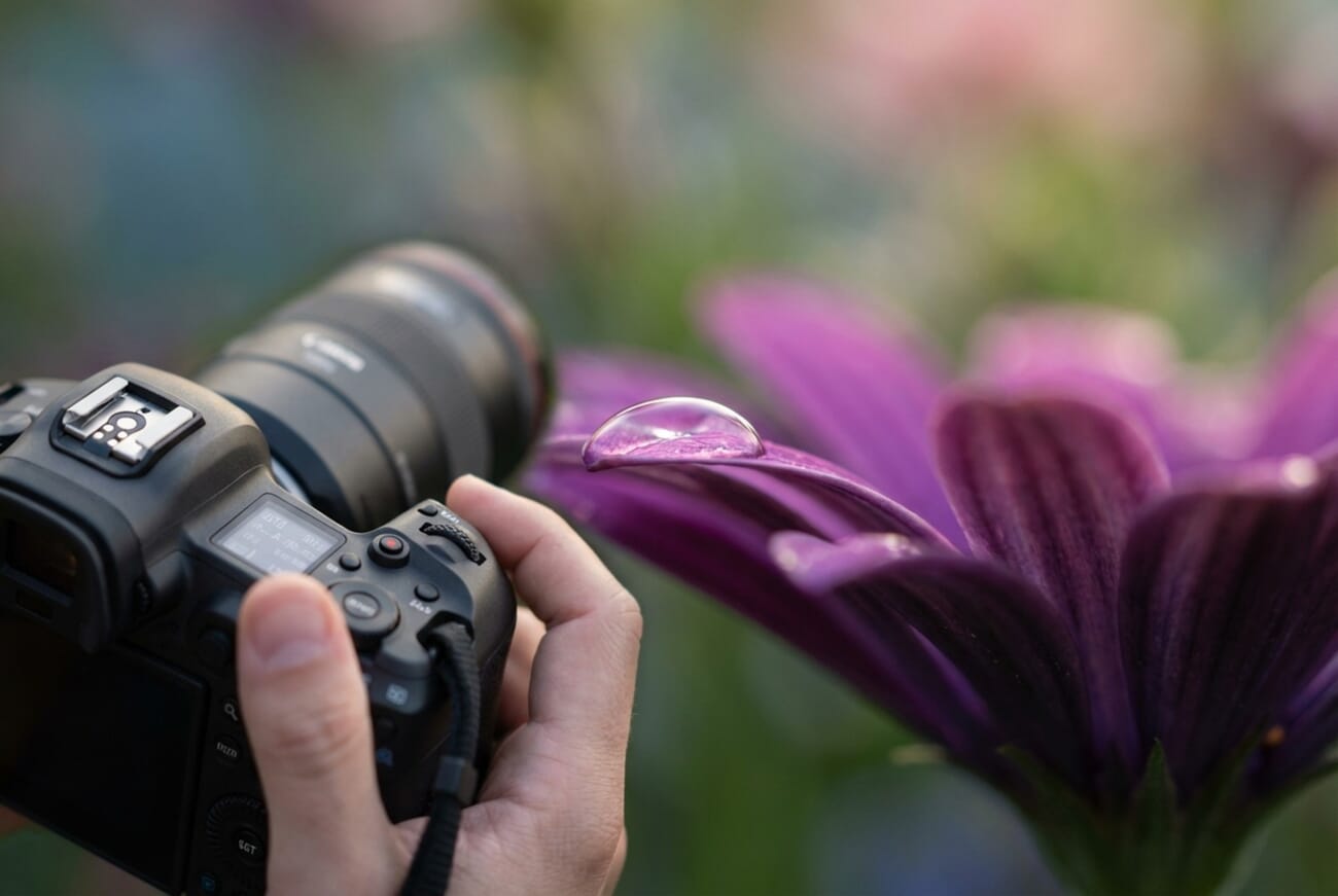 Macro photography with extremely shallow depth of field using aperture priority mode